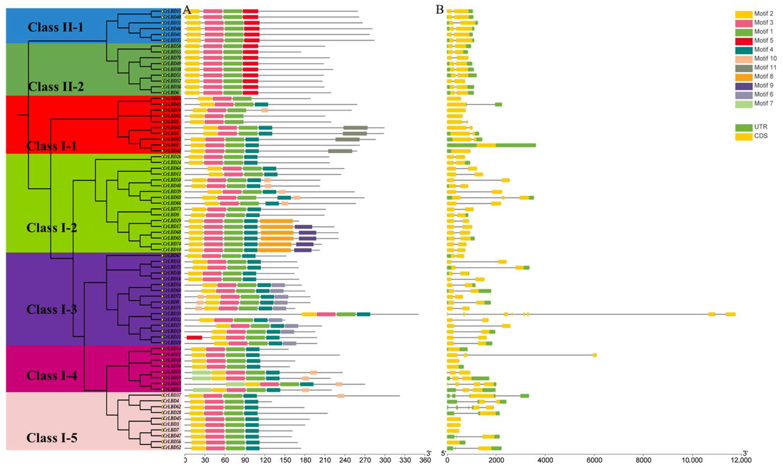Horticulturae 11 01429 g004 Horticulturae 11 01429 g004