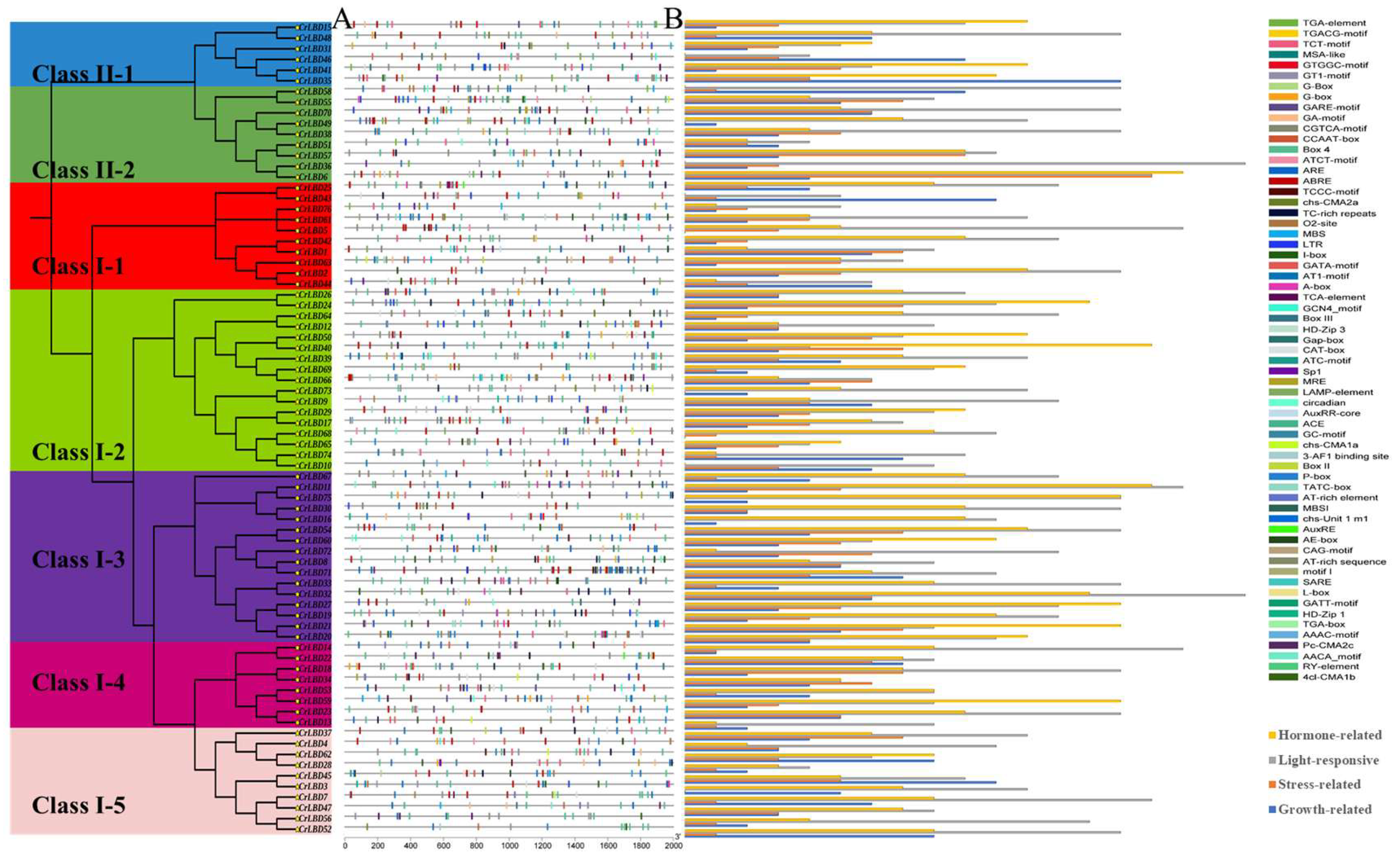 Horticulturae 11 01429 g005 Horticulturae 11 01429 g005