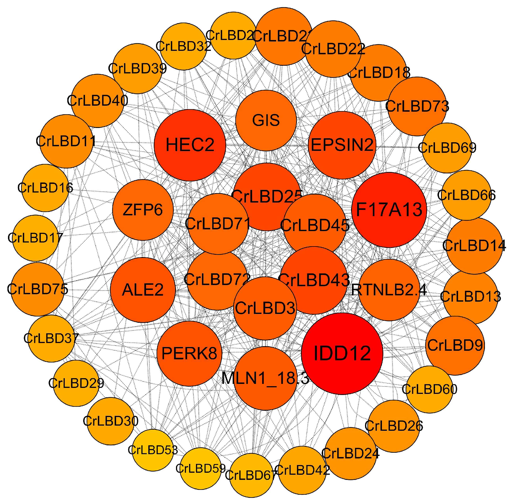 Horticulturae 11 01429 g006 Horticulturae 11 01429 g006