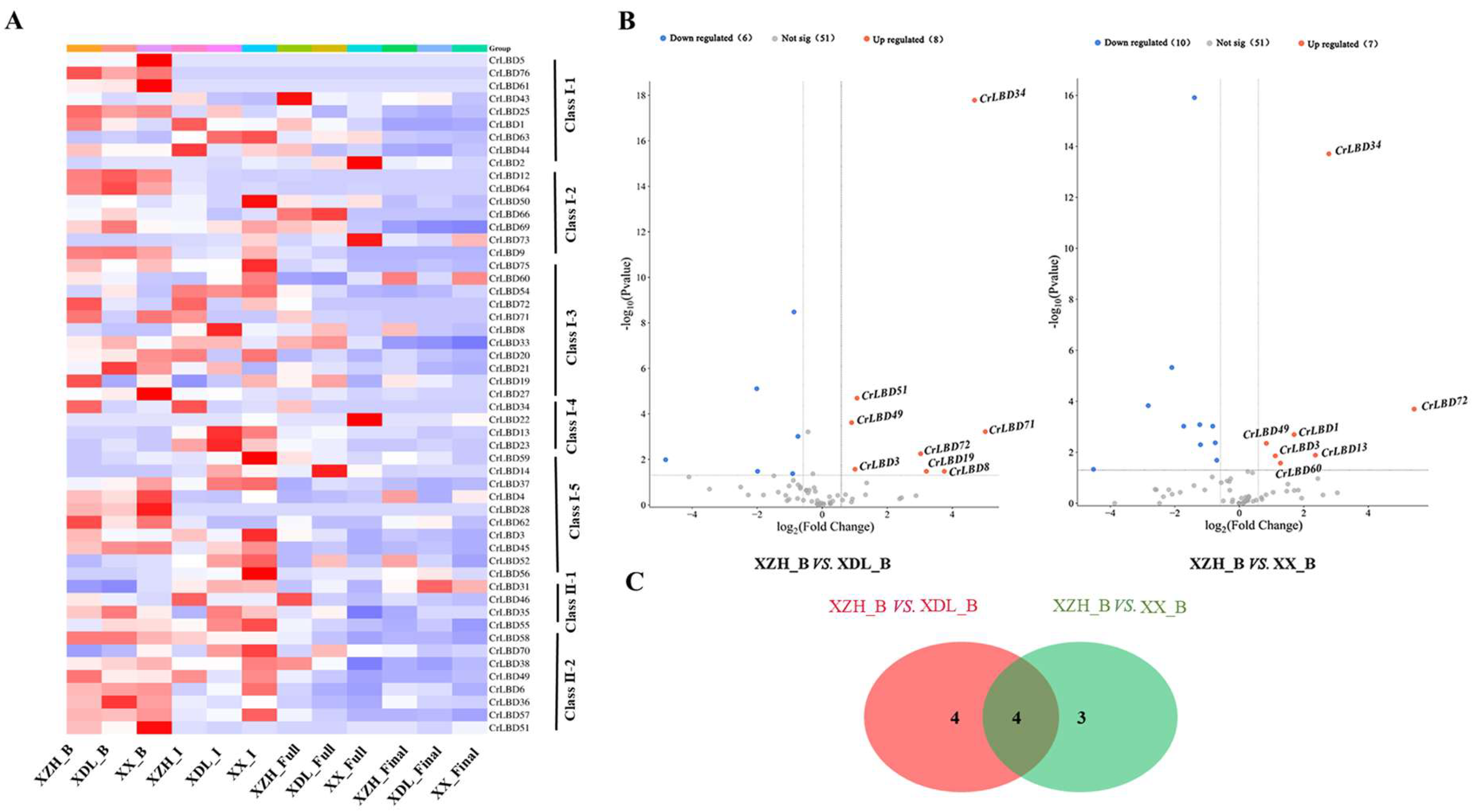 Horticulturae 11 01429 g007 Horticulturae 11 01429 g007
