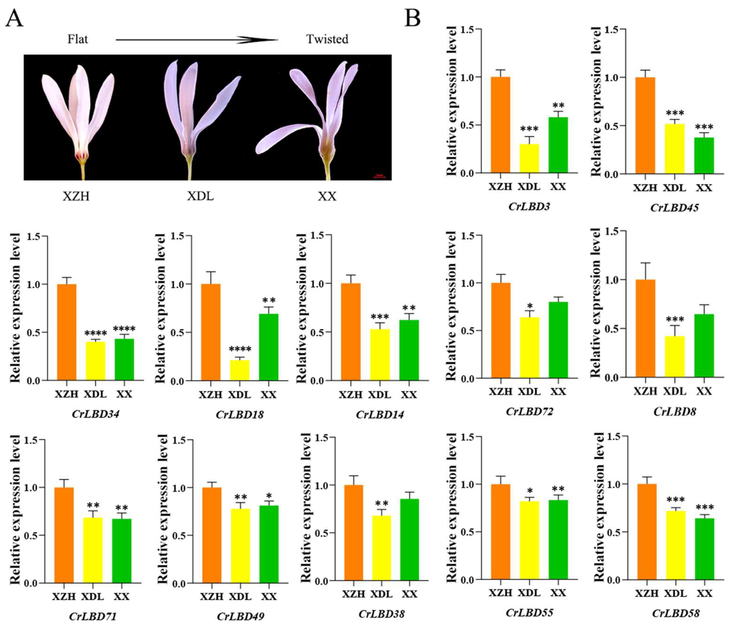 Horticulturae 11 01429 g008 Horticulturae 11 01429 g008