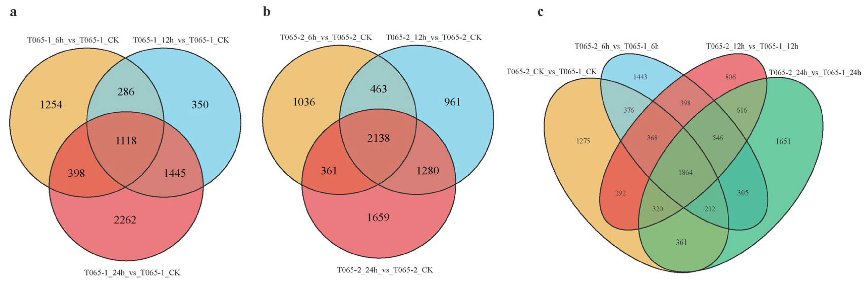 Horticulturae 11 01431 g002