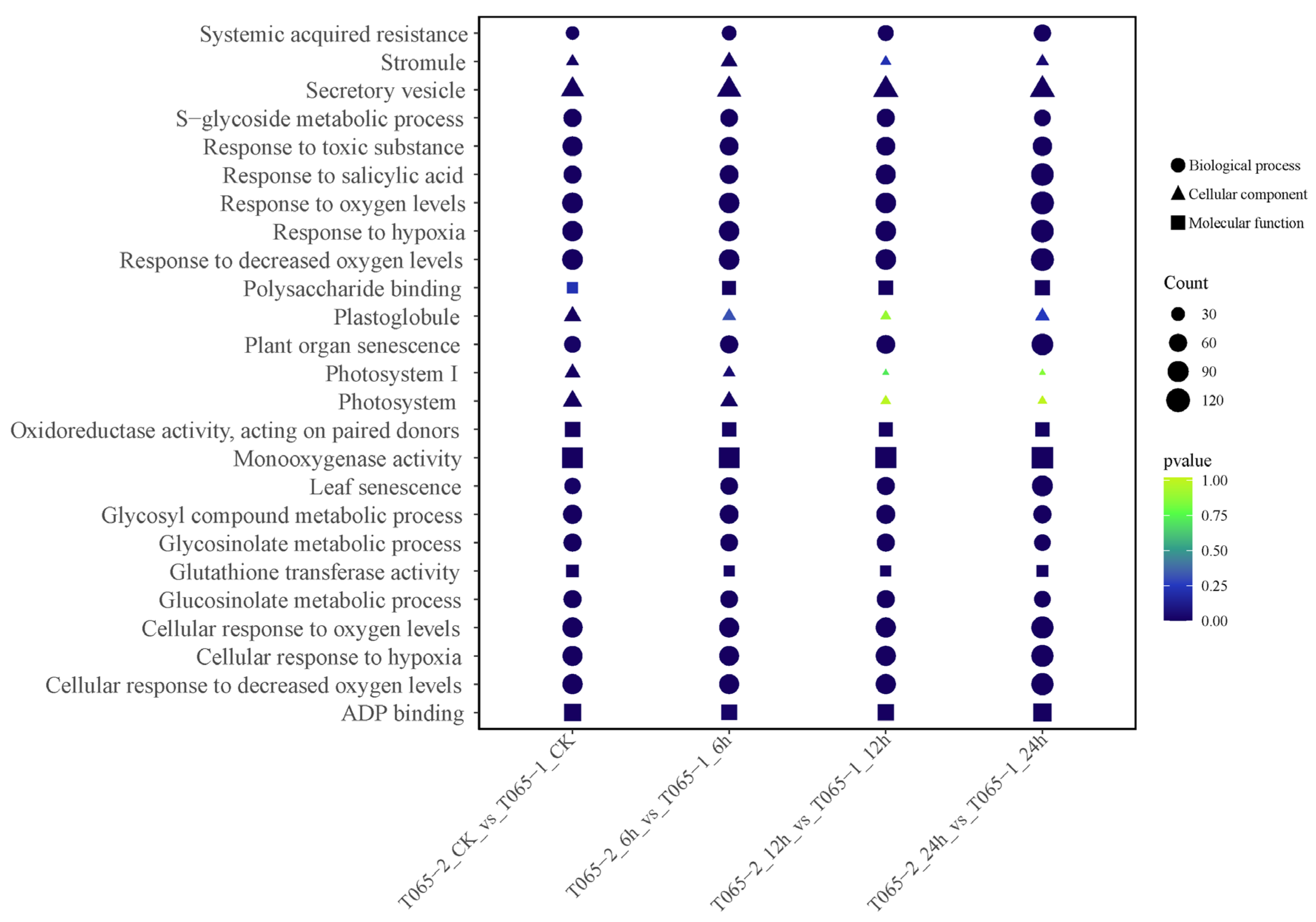 Horticulturae 11 01431 g003