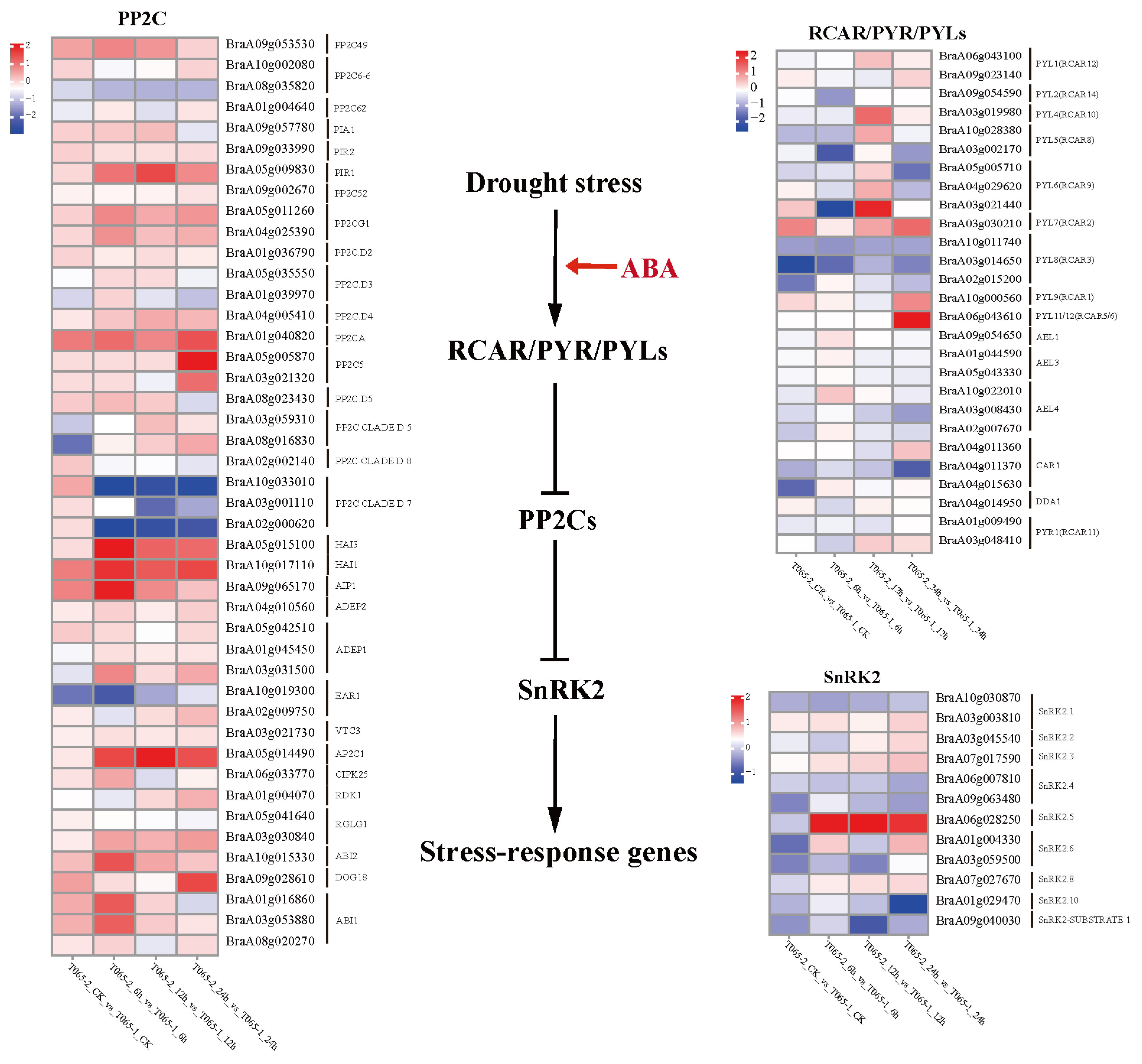 Horticulturae 11 01431 g005