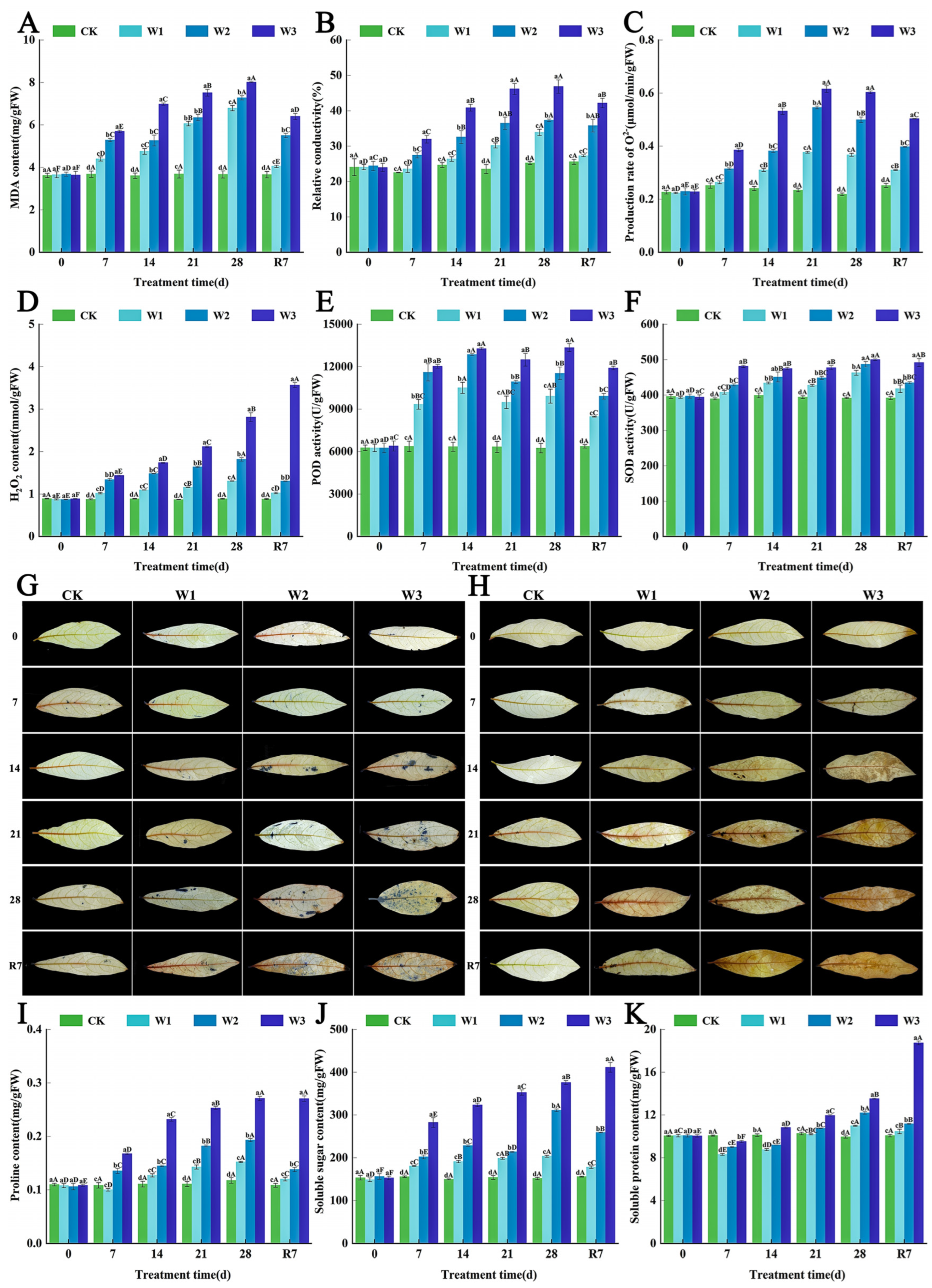 Horticulturae 11 01433 g003