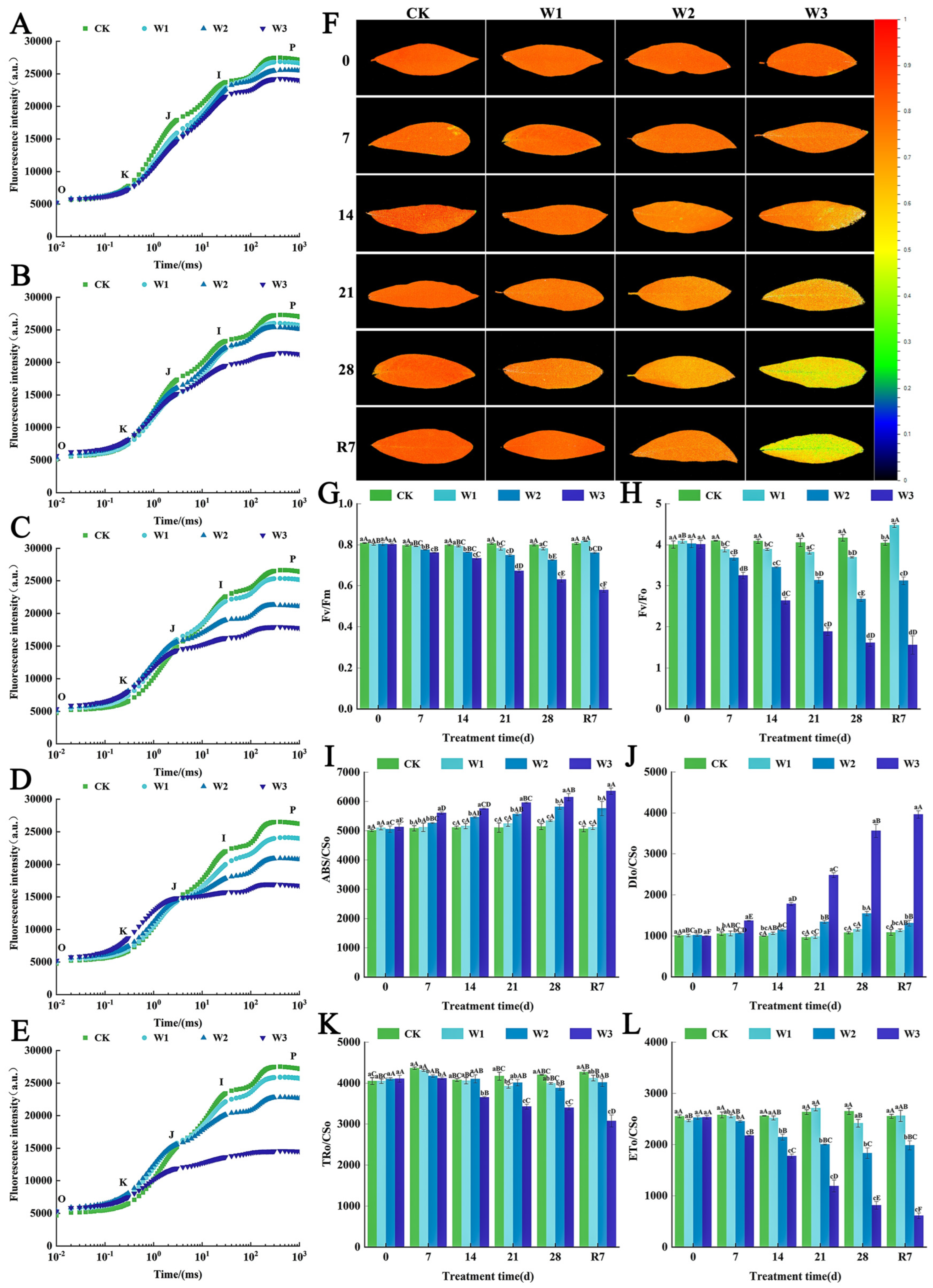 Horticulturae 11 01433 g005