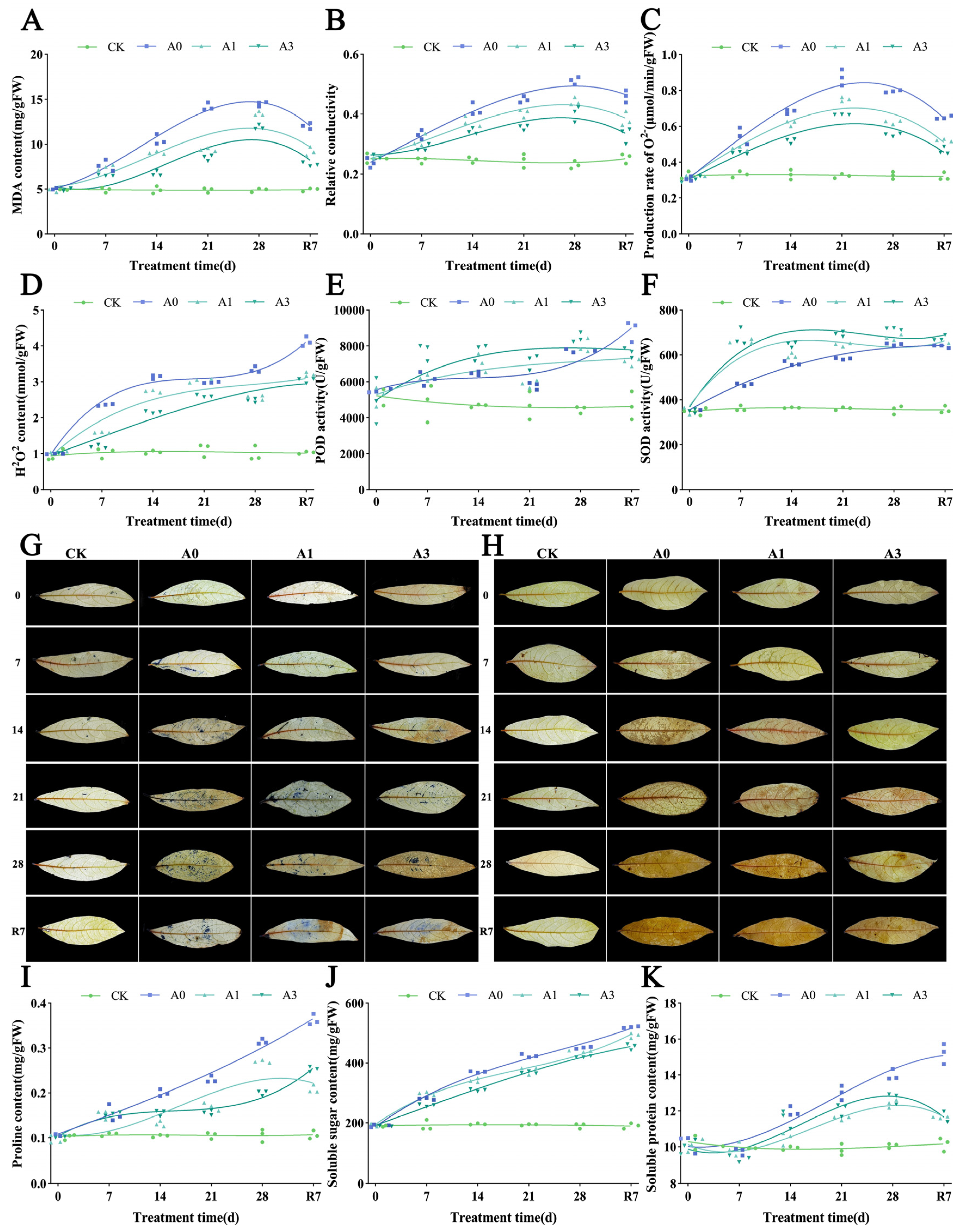 Horticulturae 11 01433 g008