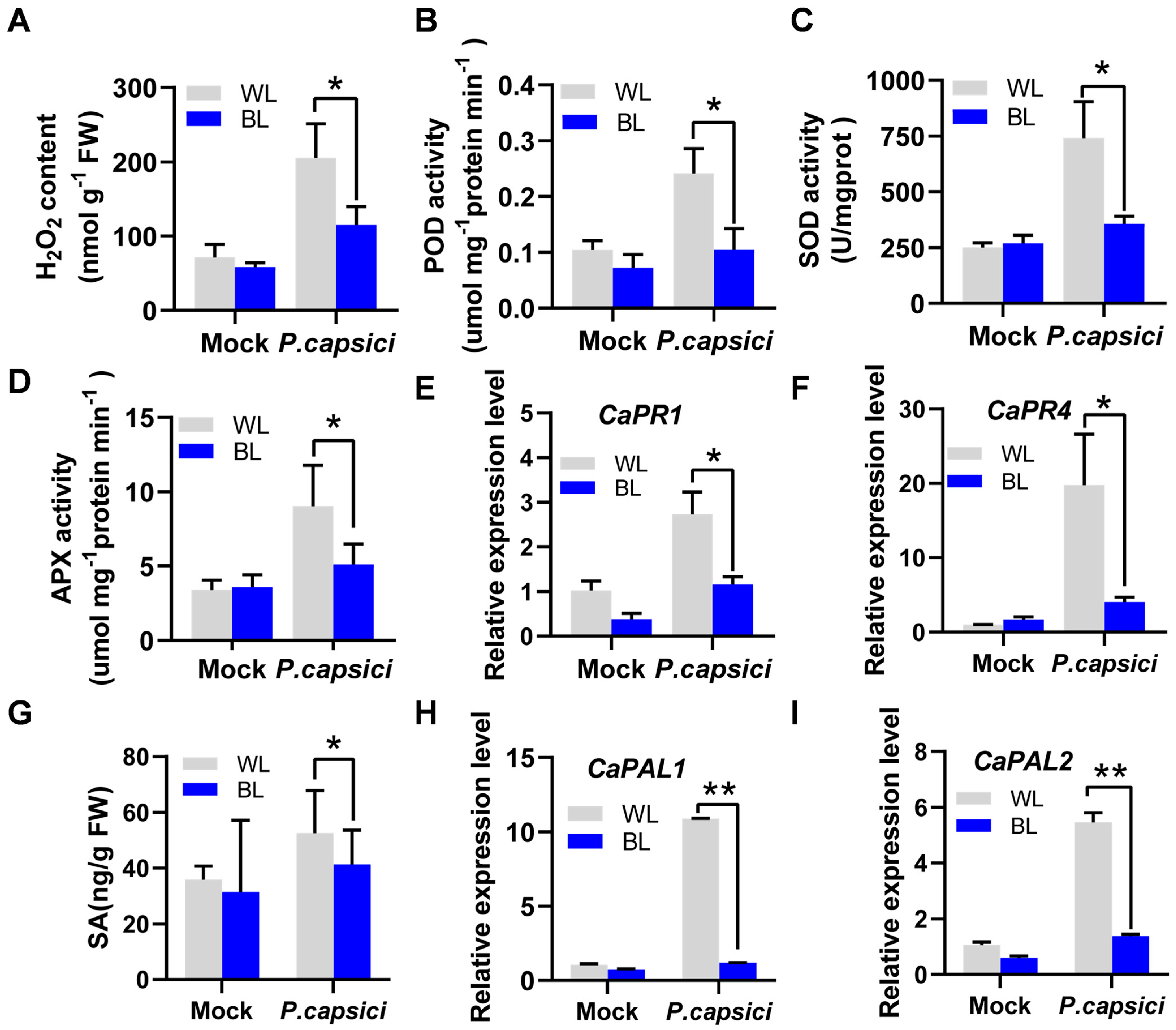 Horticulturae 11 01434 g002