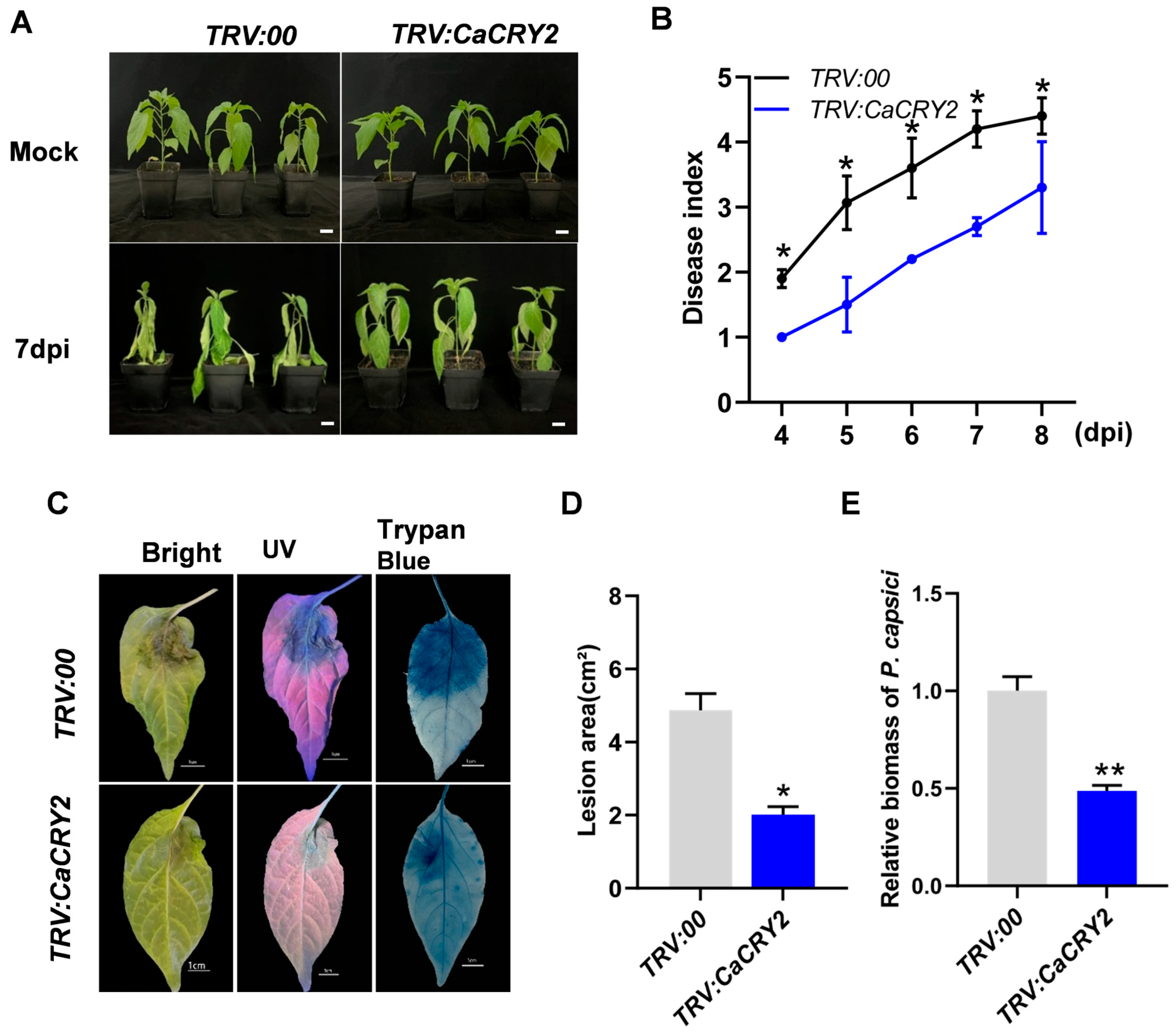 Horticulturae 11 01434 g004
