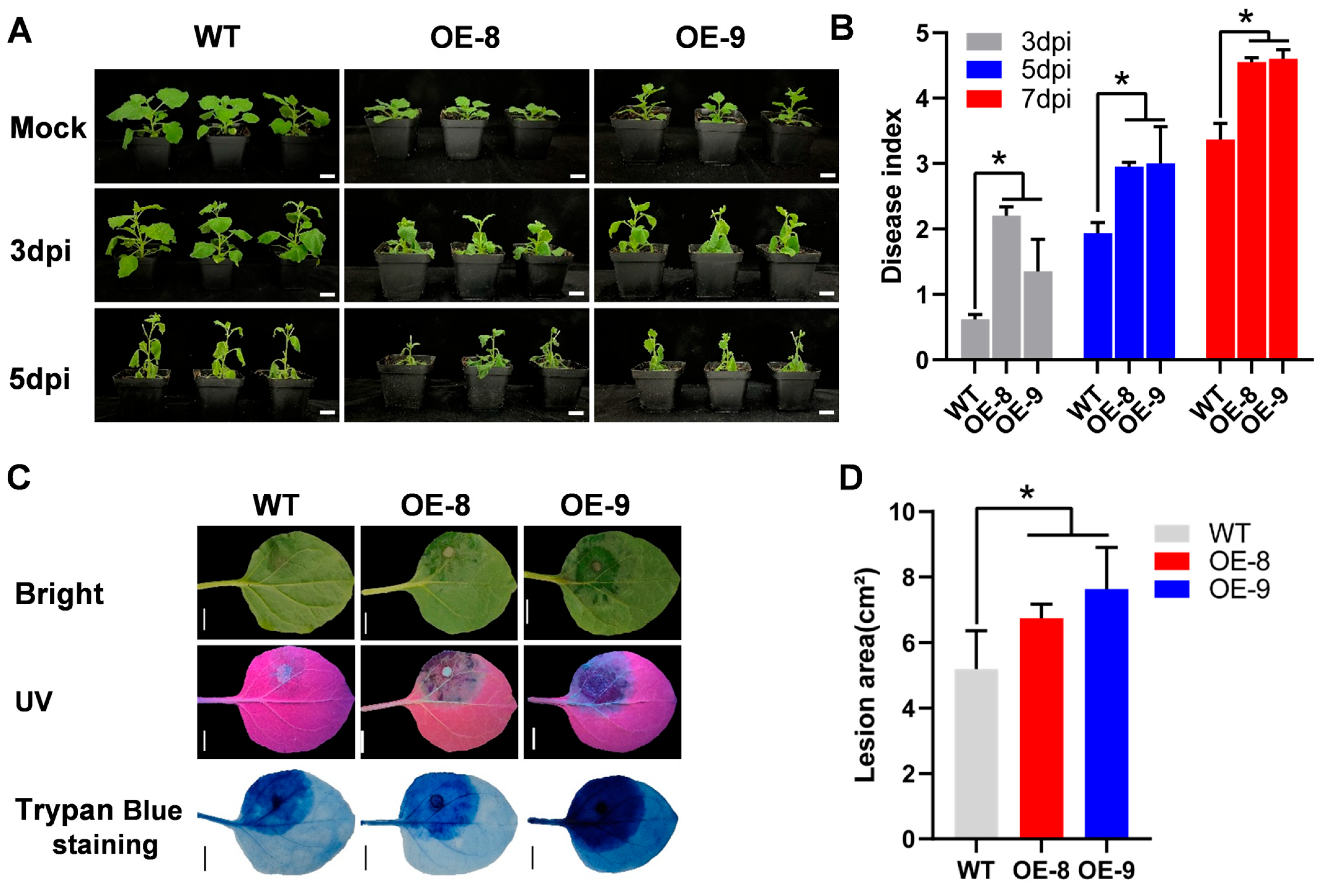 Horticulturae 11 01434 g006
