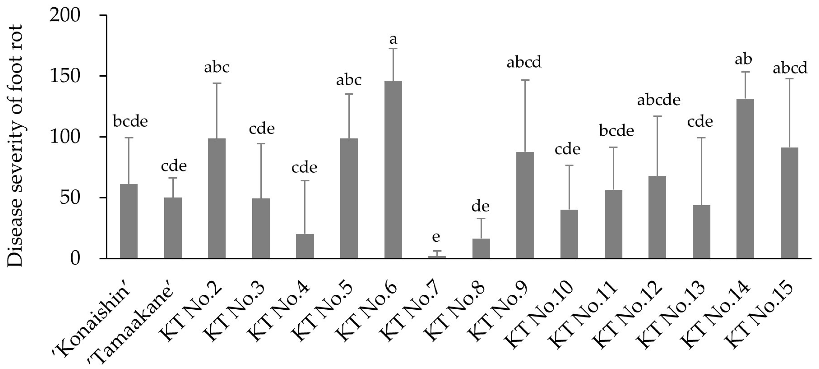 Horticulturae 11 01439 g005