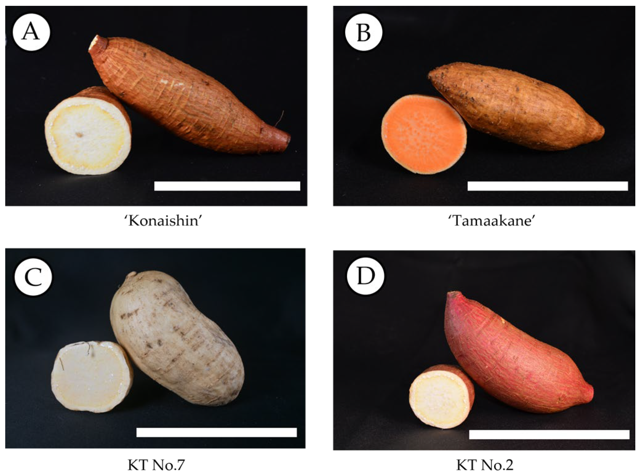 Horticulturae 11 01439 g007