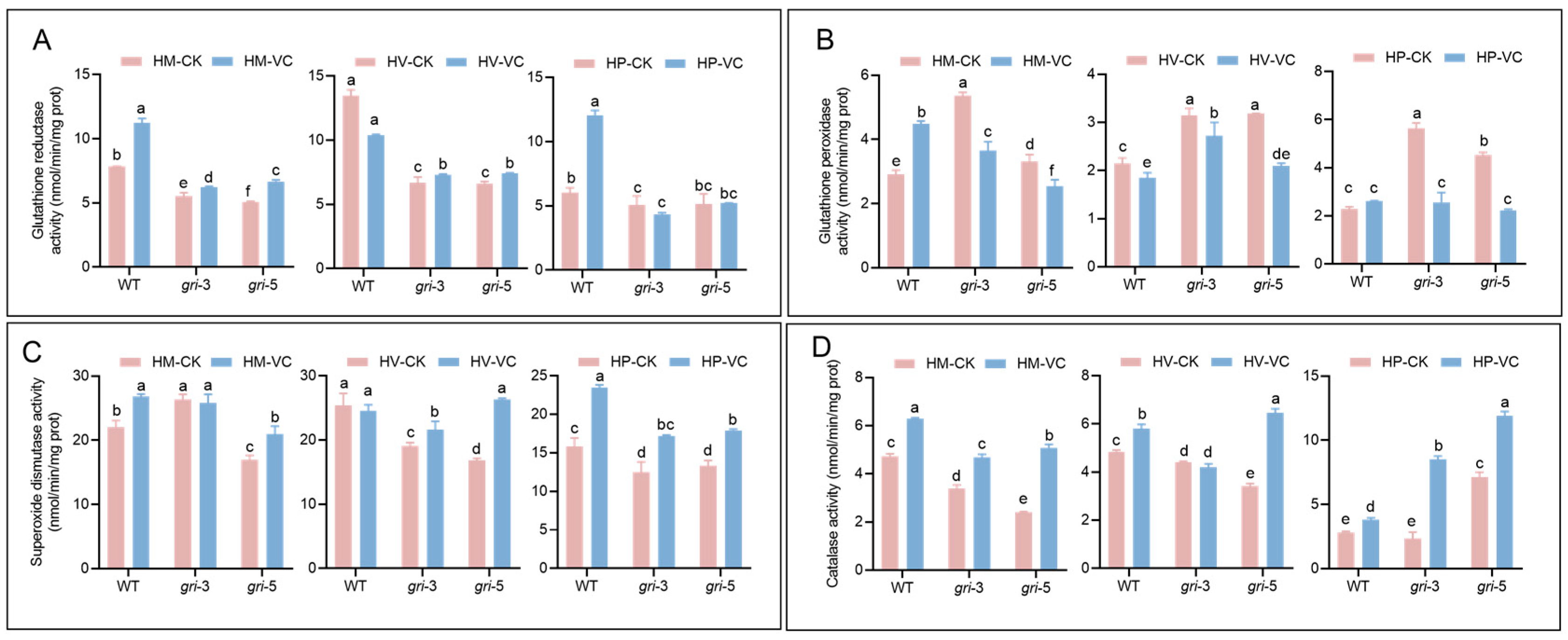 Horticulturae 11 01441 g004 Horticulturae 11 01441 g004
