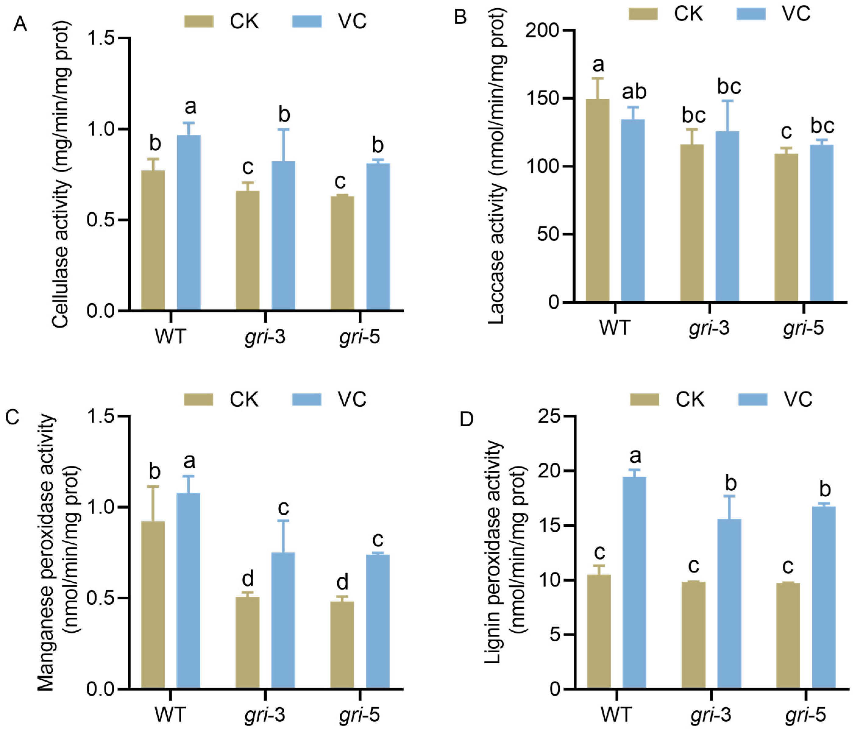 Horticulturae 11 01441 g005 Horticulturae 11 01441 g005