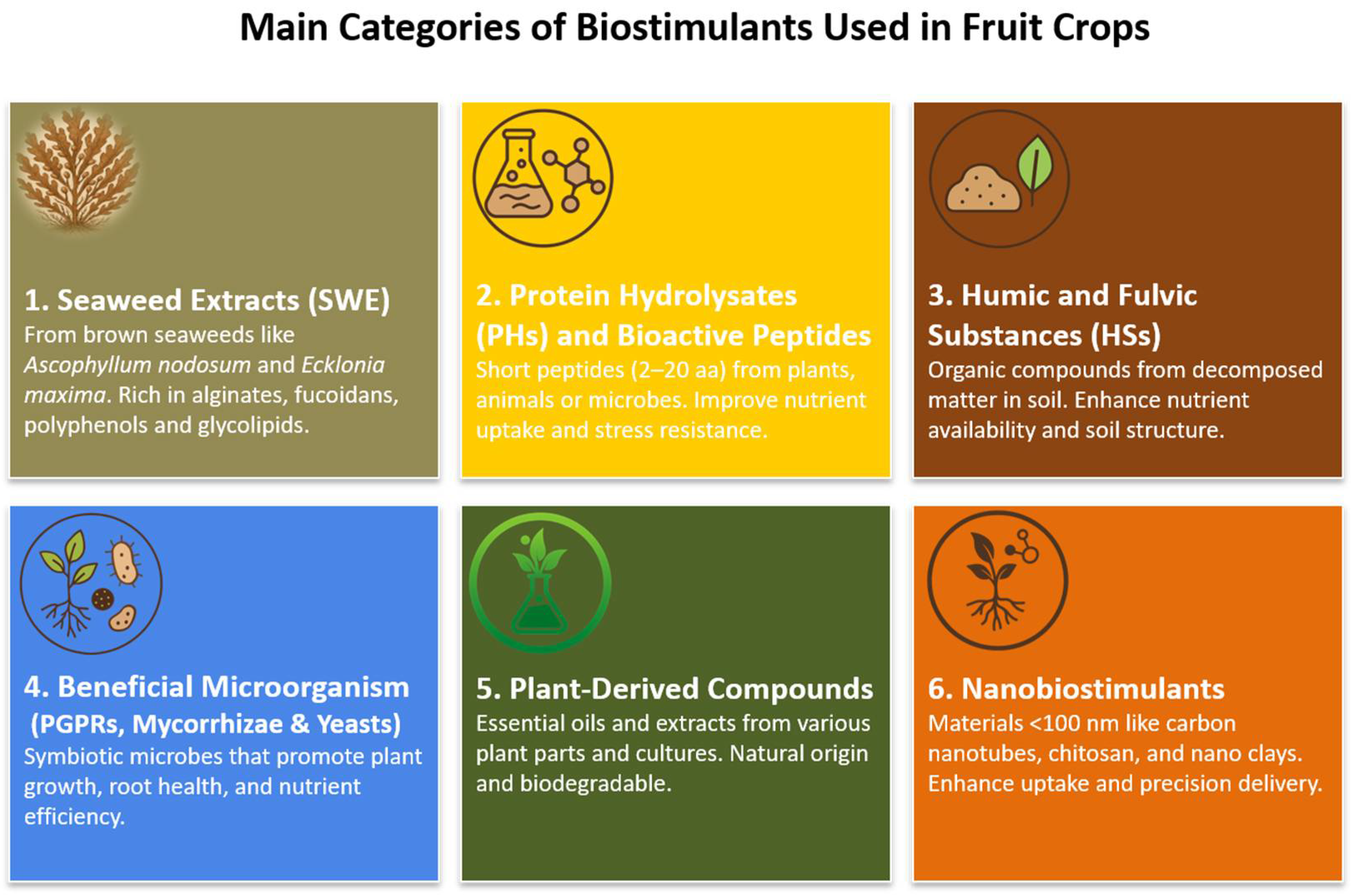 Horticulturae 11 01452 g001 Horticulturae 11 01452 g001