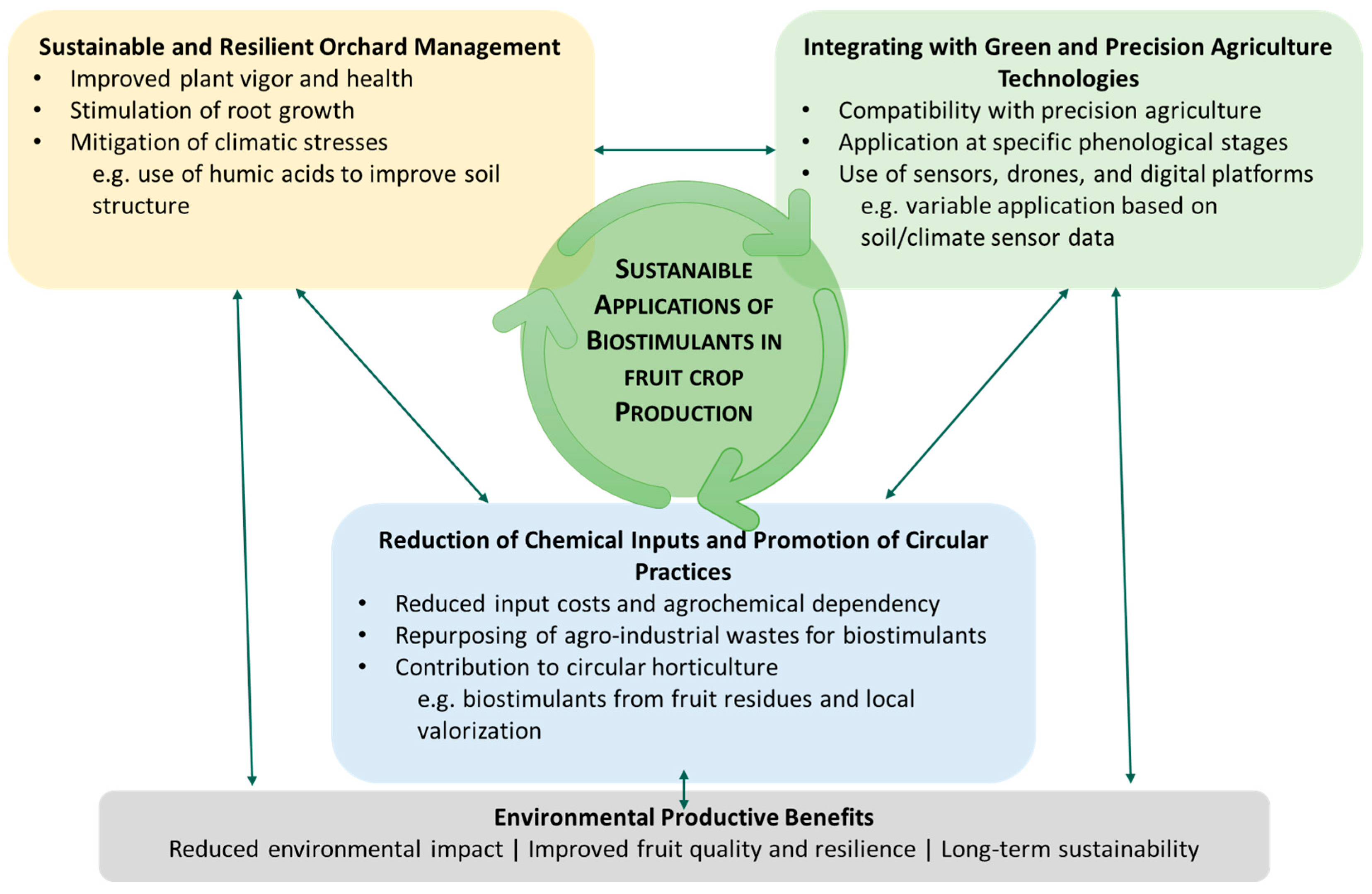Horticulturae 11 01452 g002 Horticulturae 11 01452 g002
