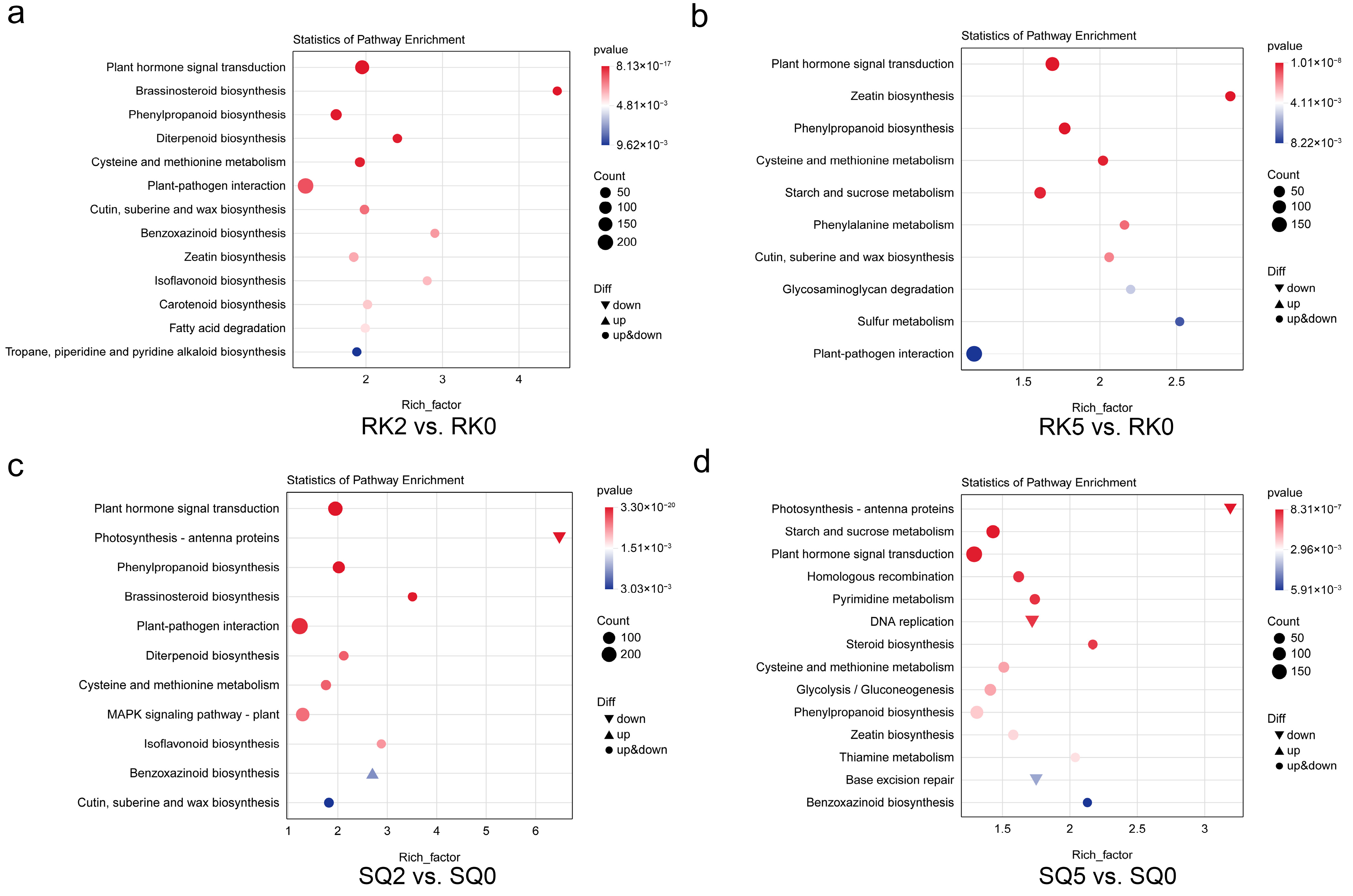 Horticulturae 11 01458 g004 Horticulturae 11 01458 g004