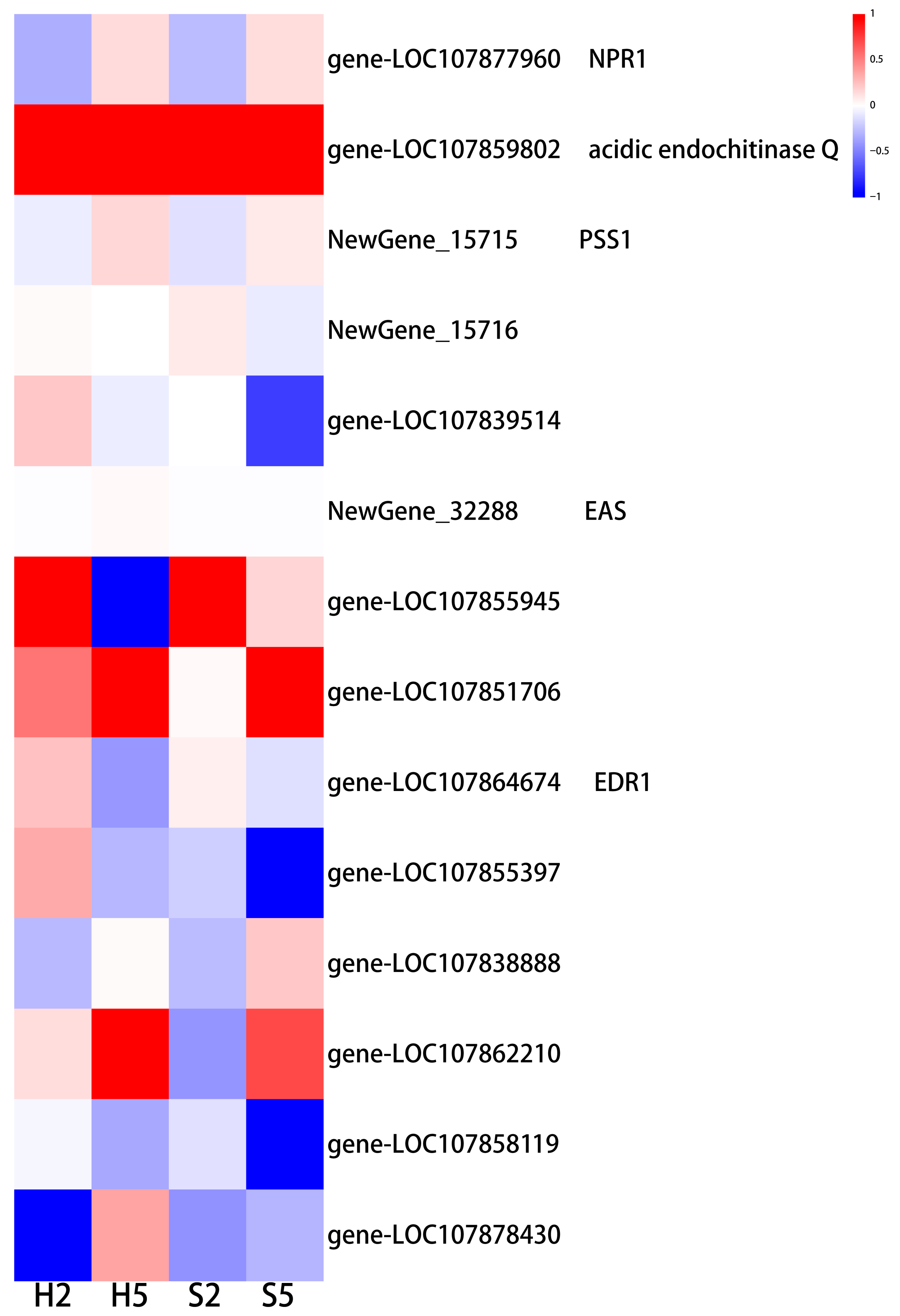 Horticulturae 11 01458 g005 Horticulturae 11 01458 g005