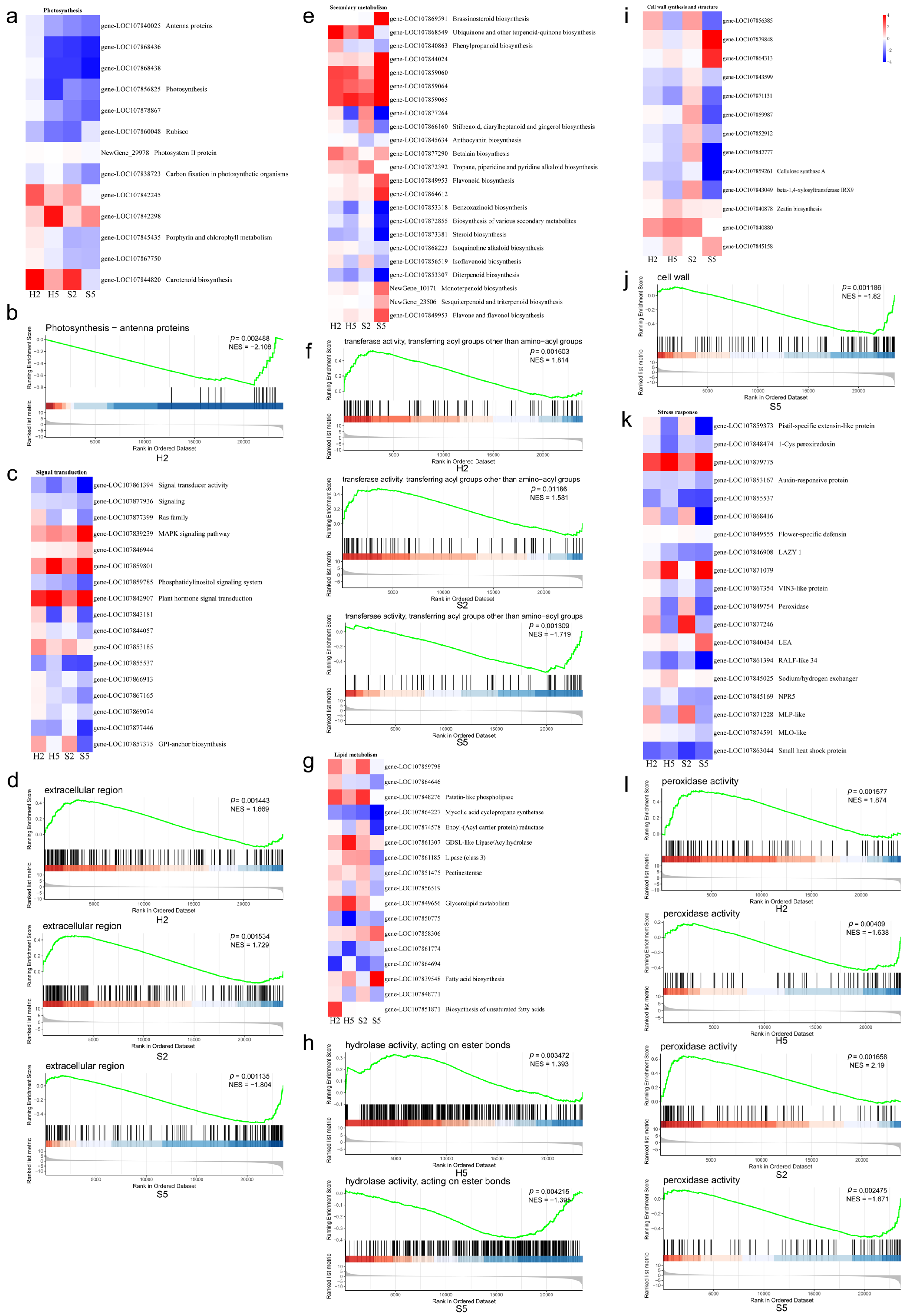 Horticulturae 11 01458 g007 Horticulturae 11 01458 g007