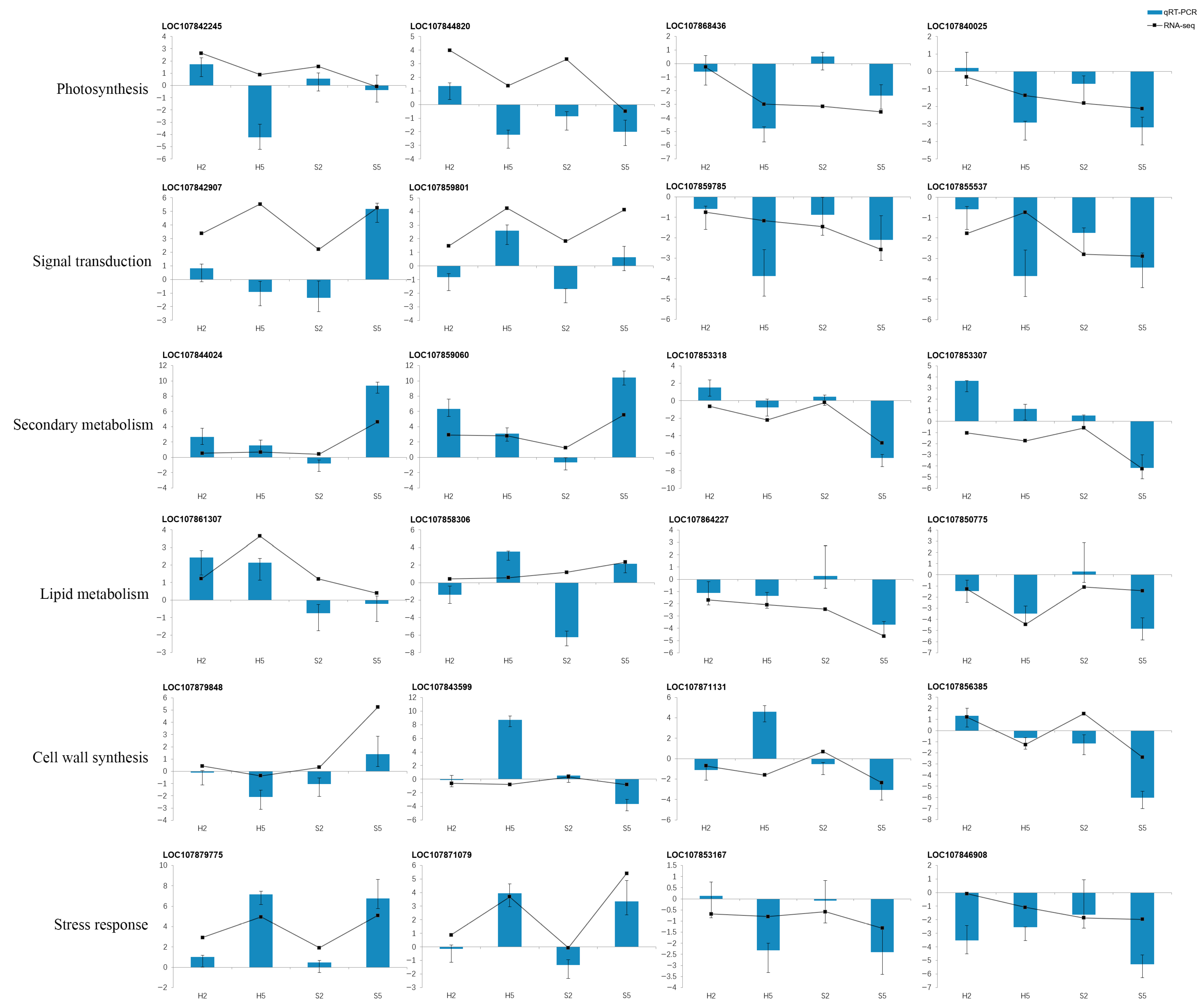 Horticulturae 11 01458 g008 Horticulturae 11 01458 g008