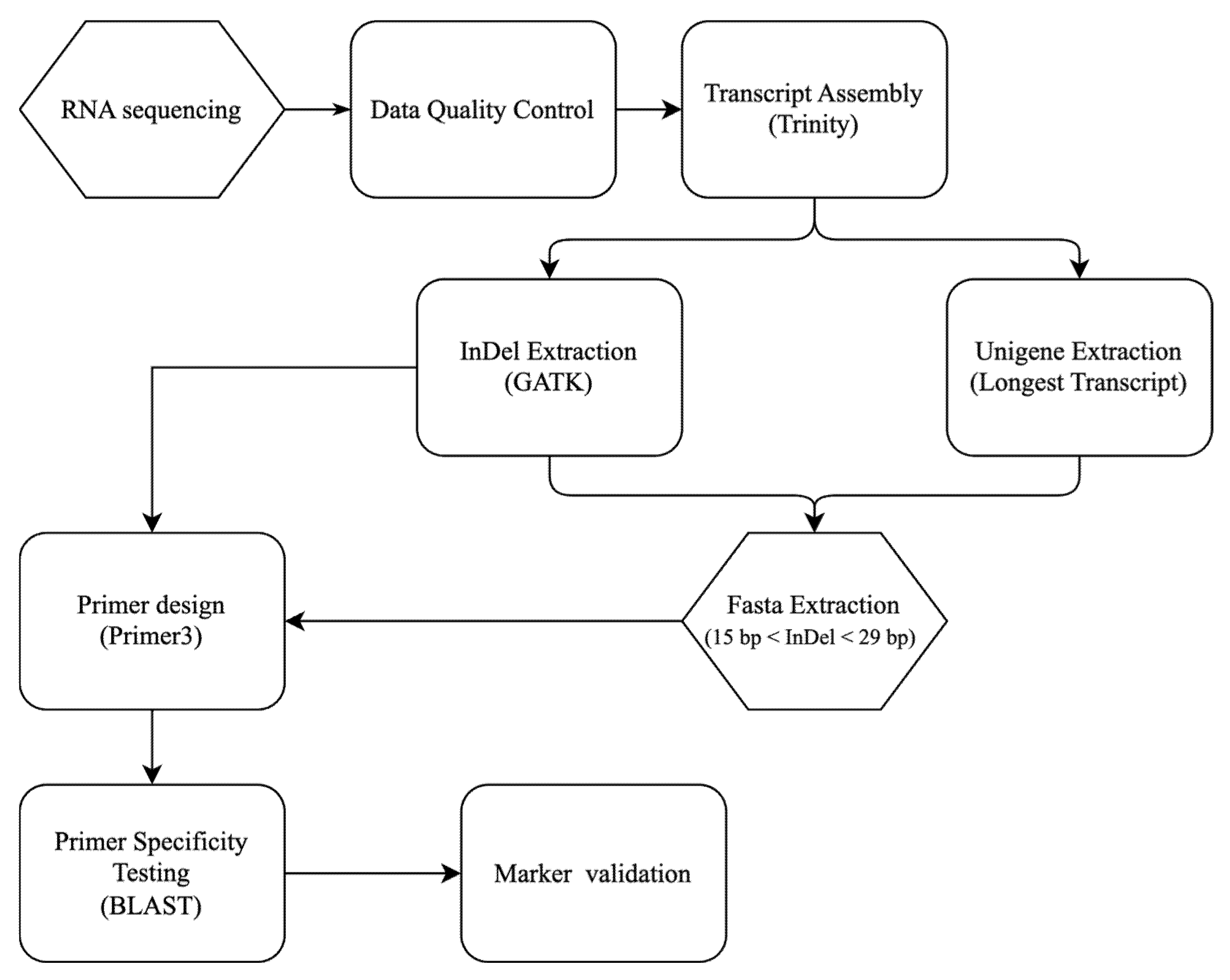 Horticulturae 11 01459 g001