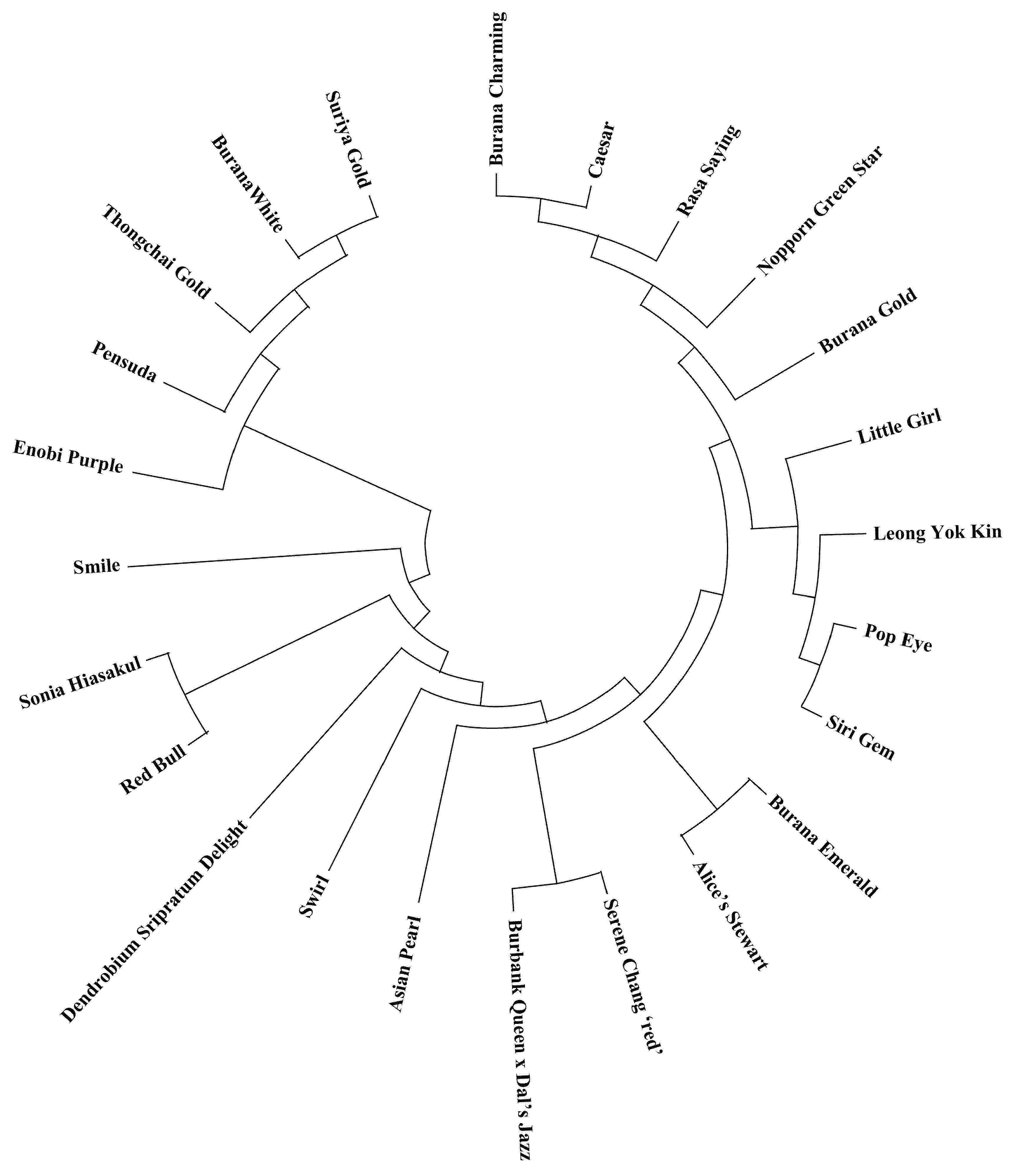 Horticulturae 11 01459 g005