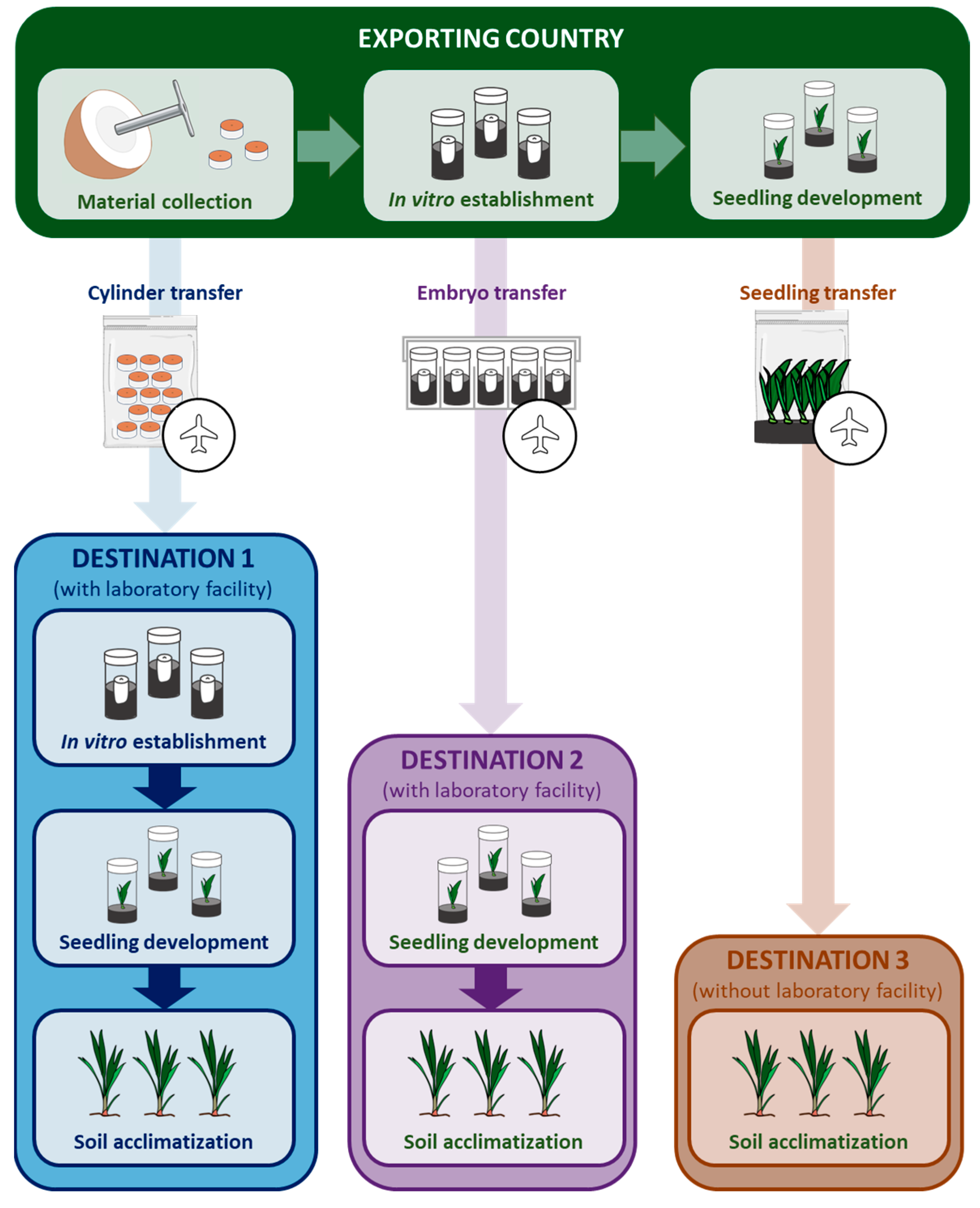 Horticulturae 11 01461 g002
