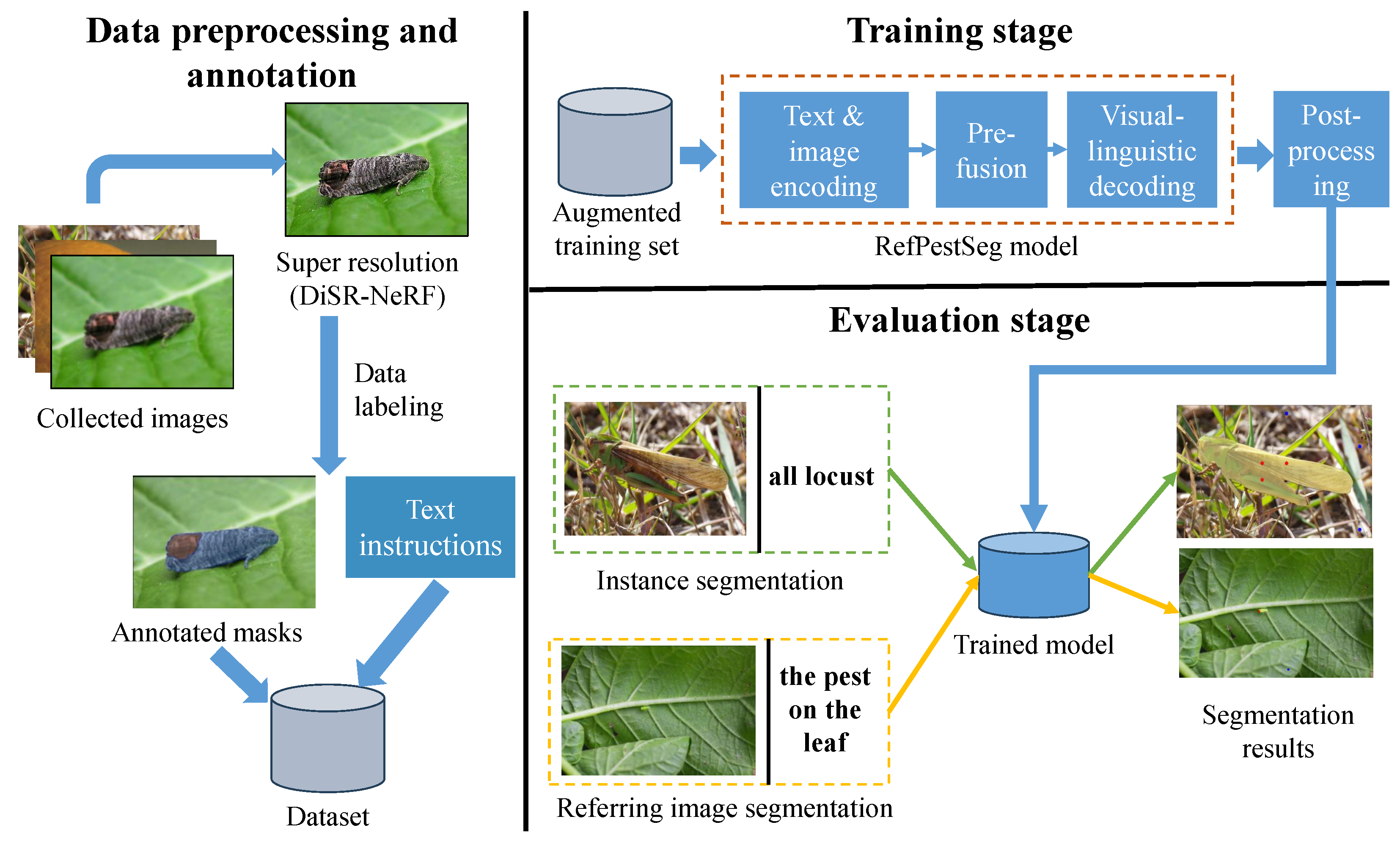 Horticulturae 11 01462 g001