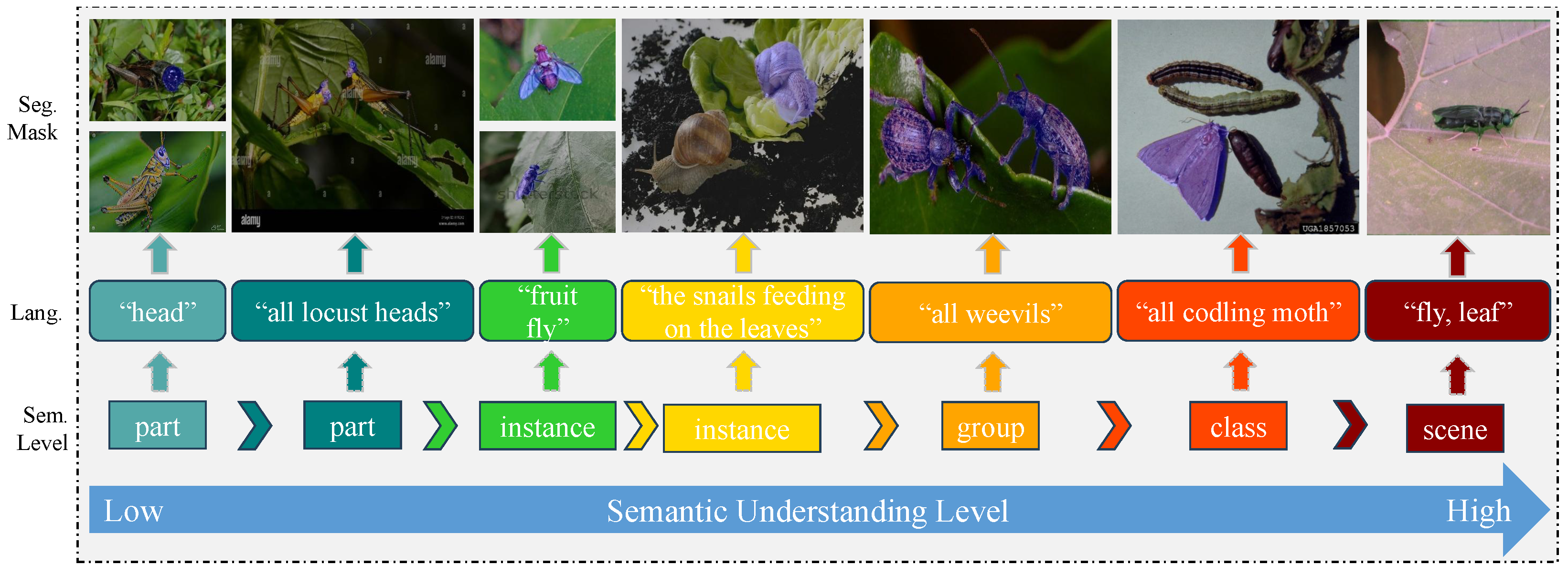 Horticulturae 11 01462 g008