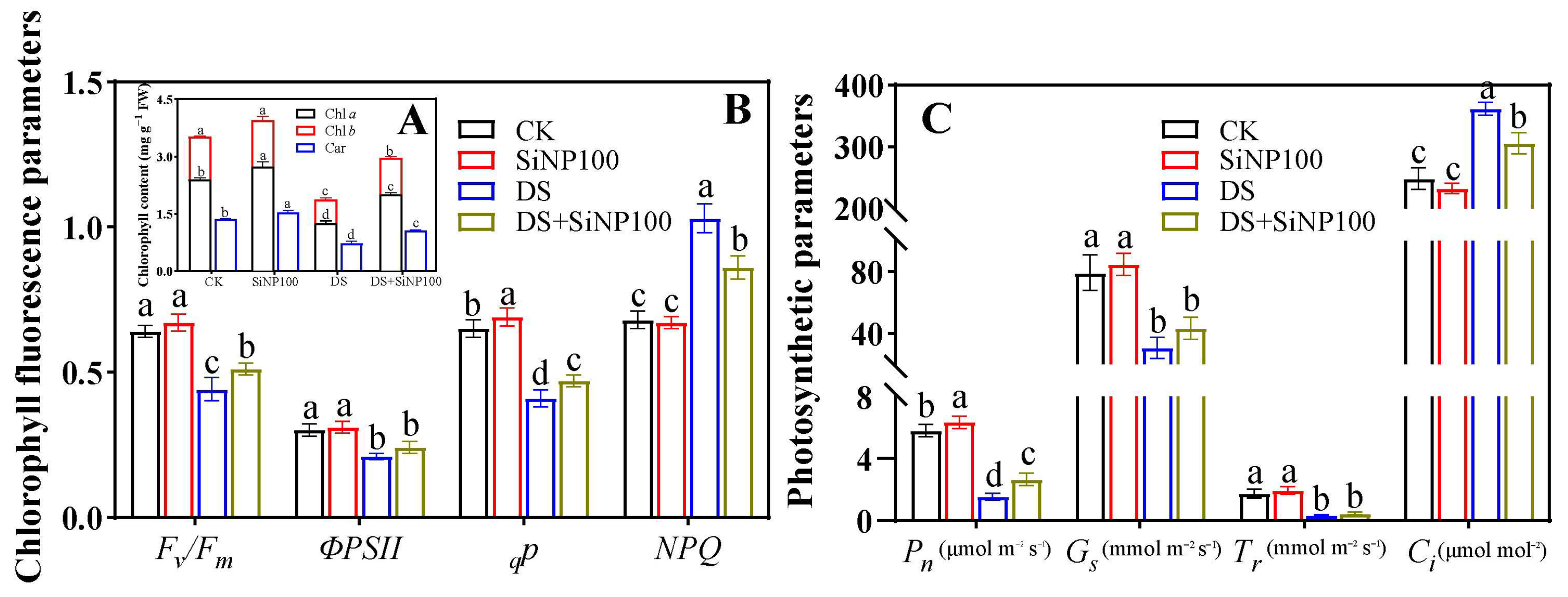 Horticulturae 11 01467 g002