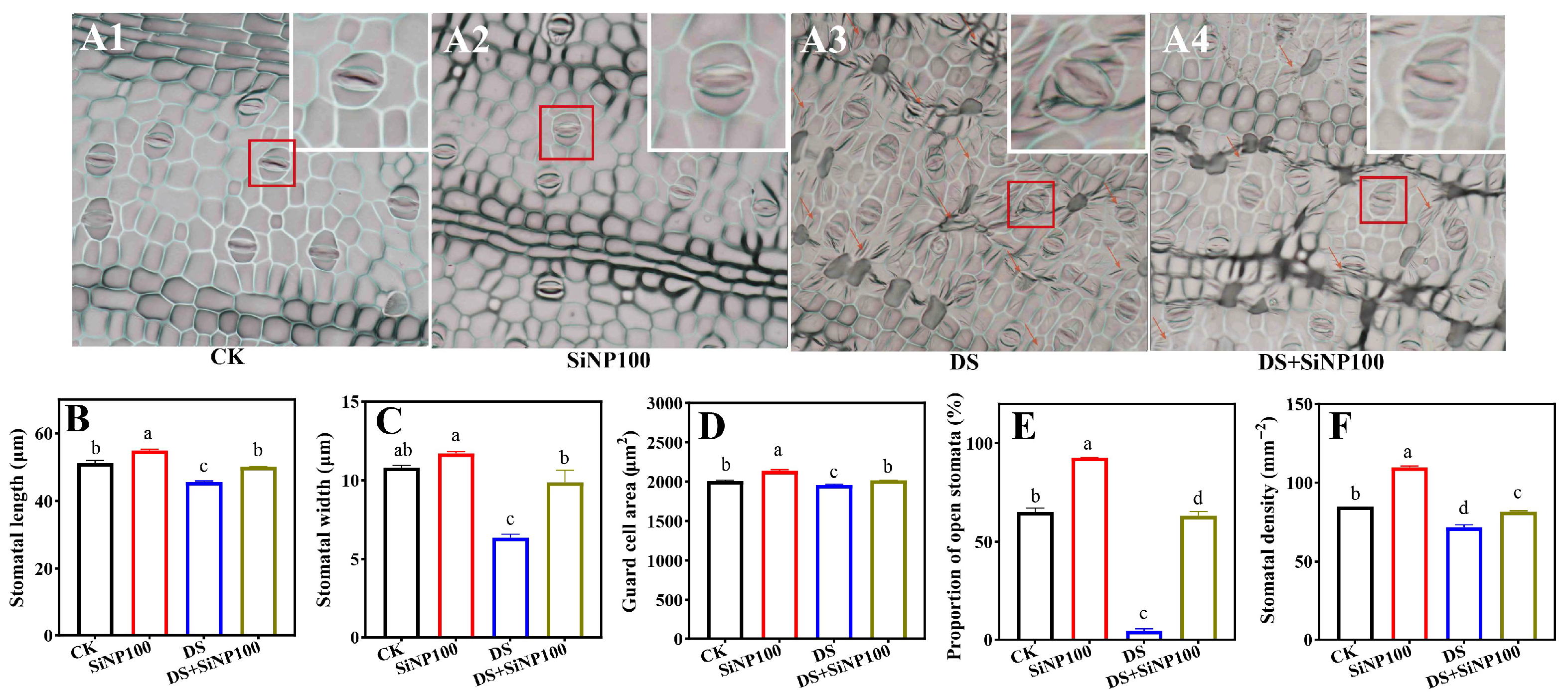 Horticulturae 11 01467 g003