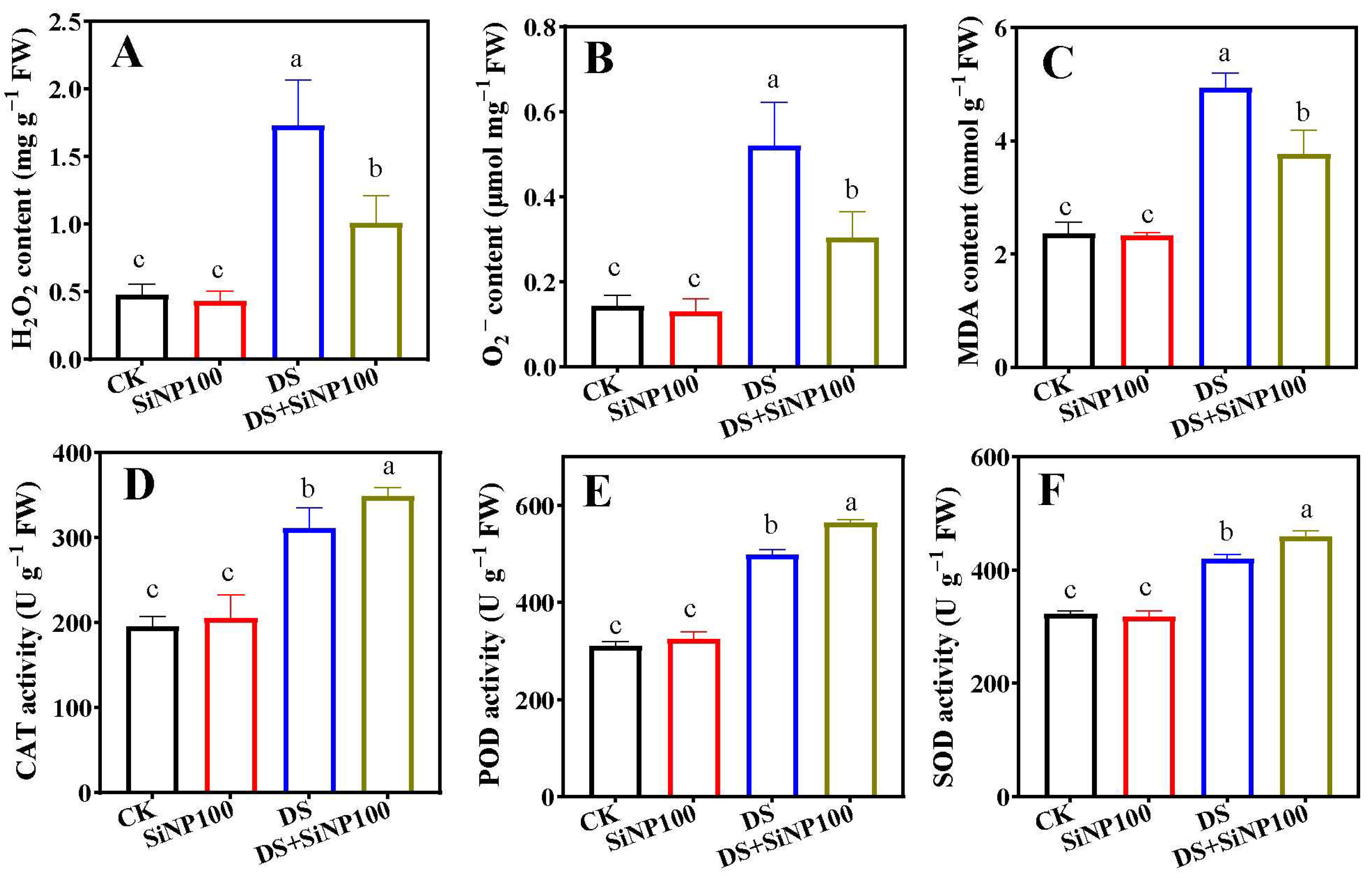 Horticulturae 11 01467 g004