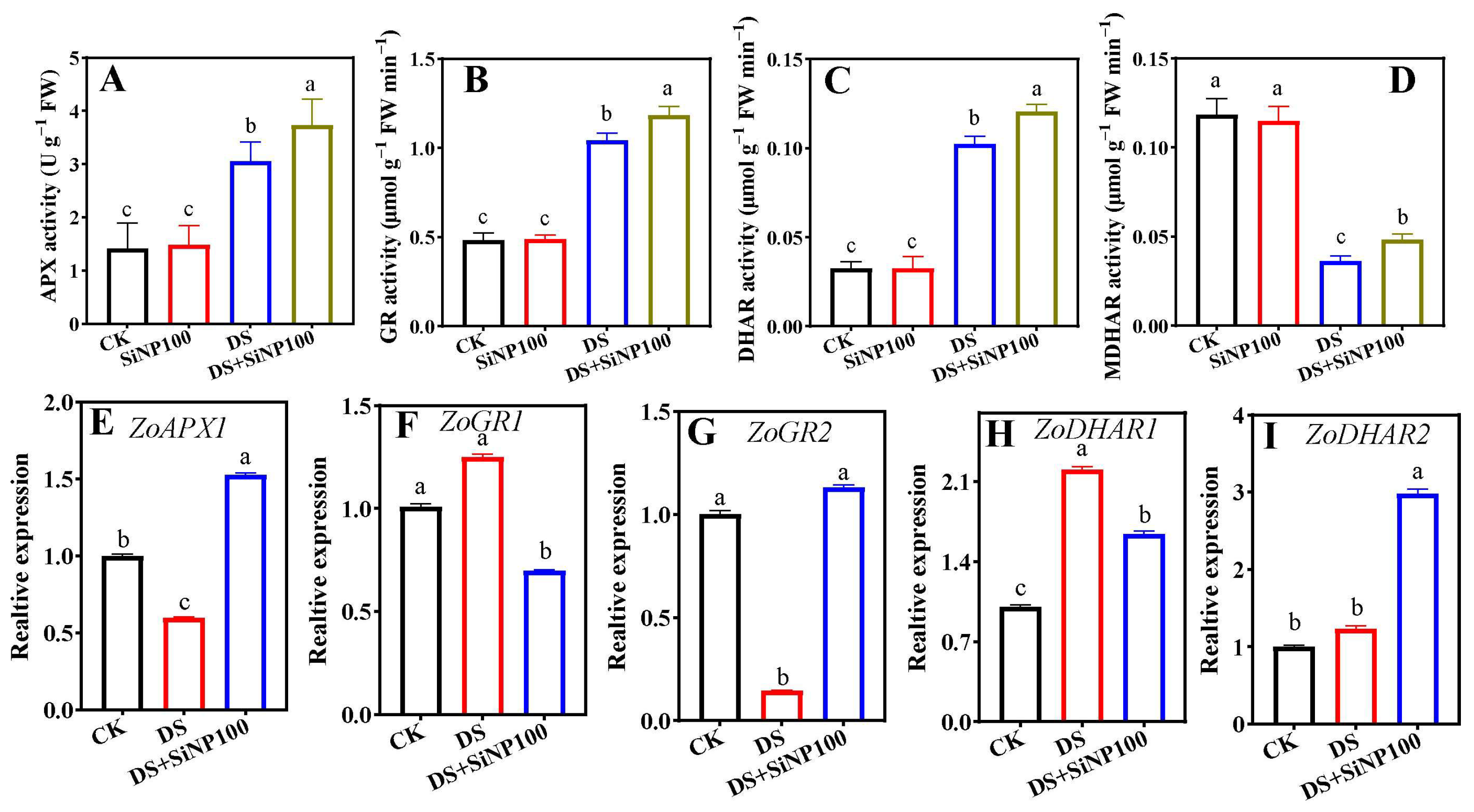 Horticulturae 11 01467 g007