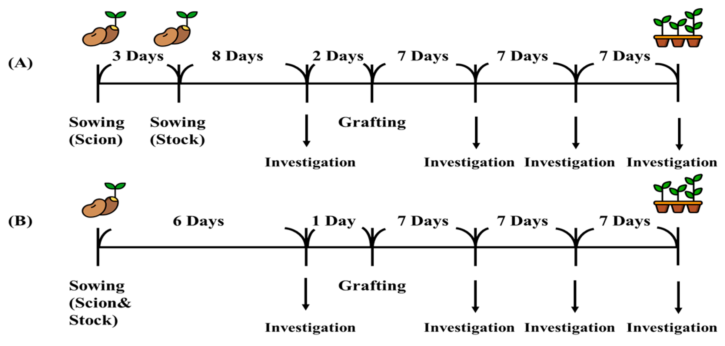 Horticulturae 11 01471 g001