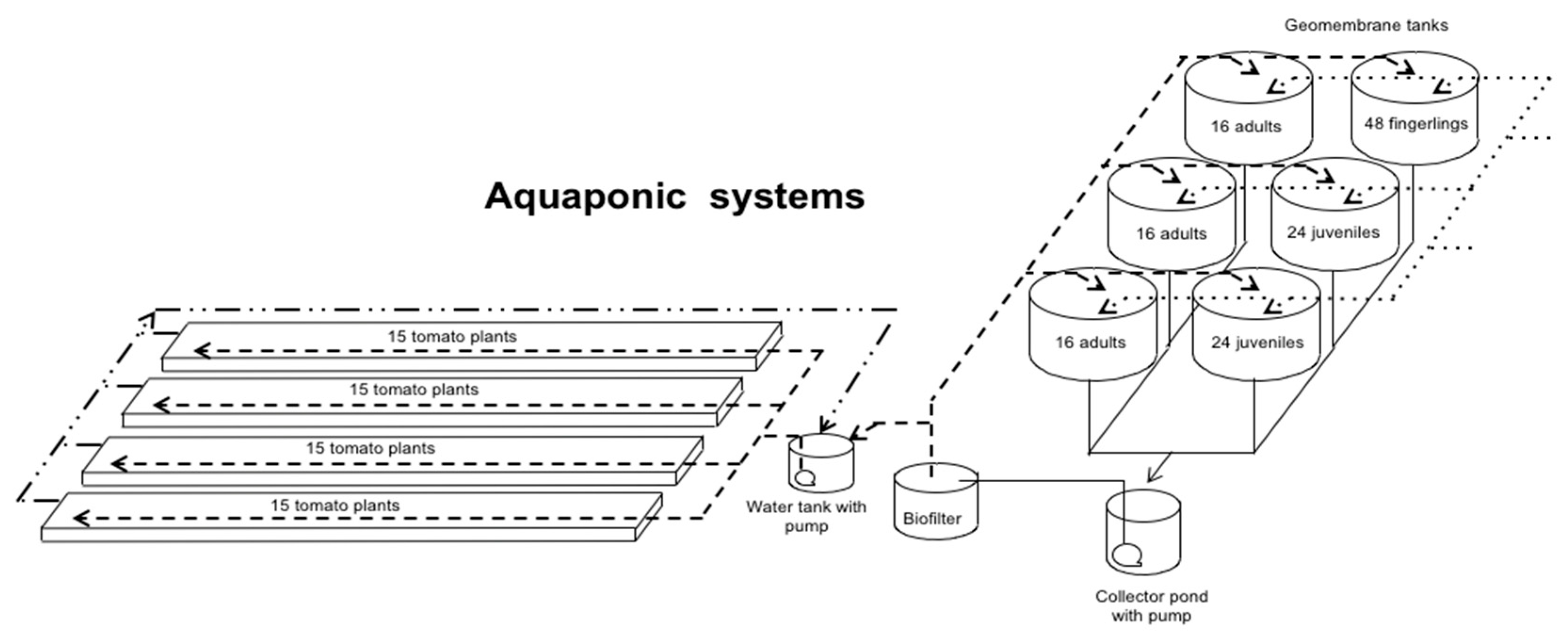 Horticulturae 11 01474 g001