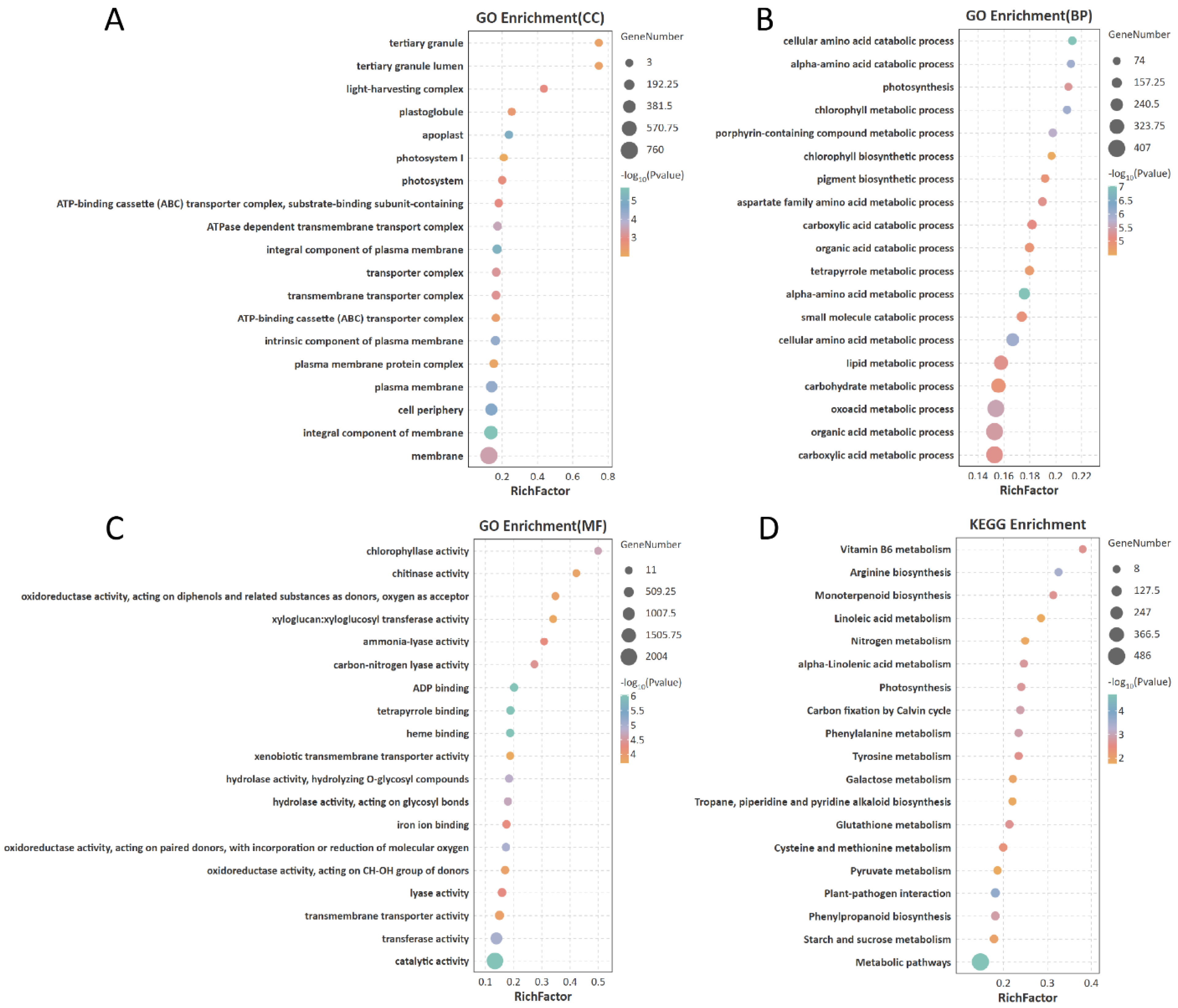 Horticulturae 11 01478 g007