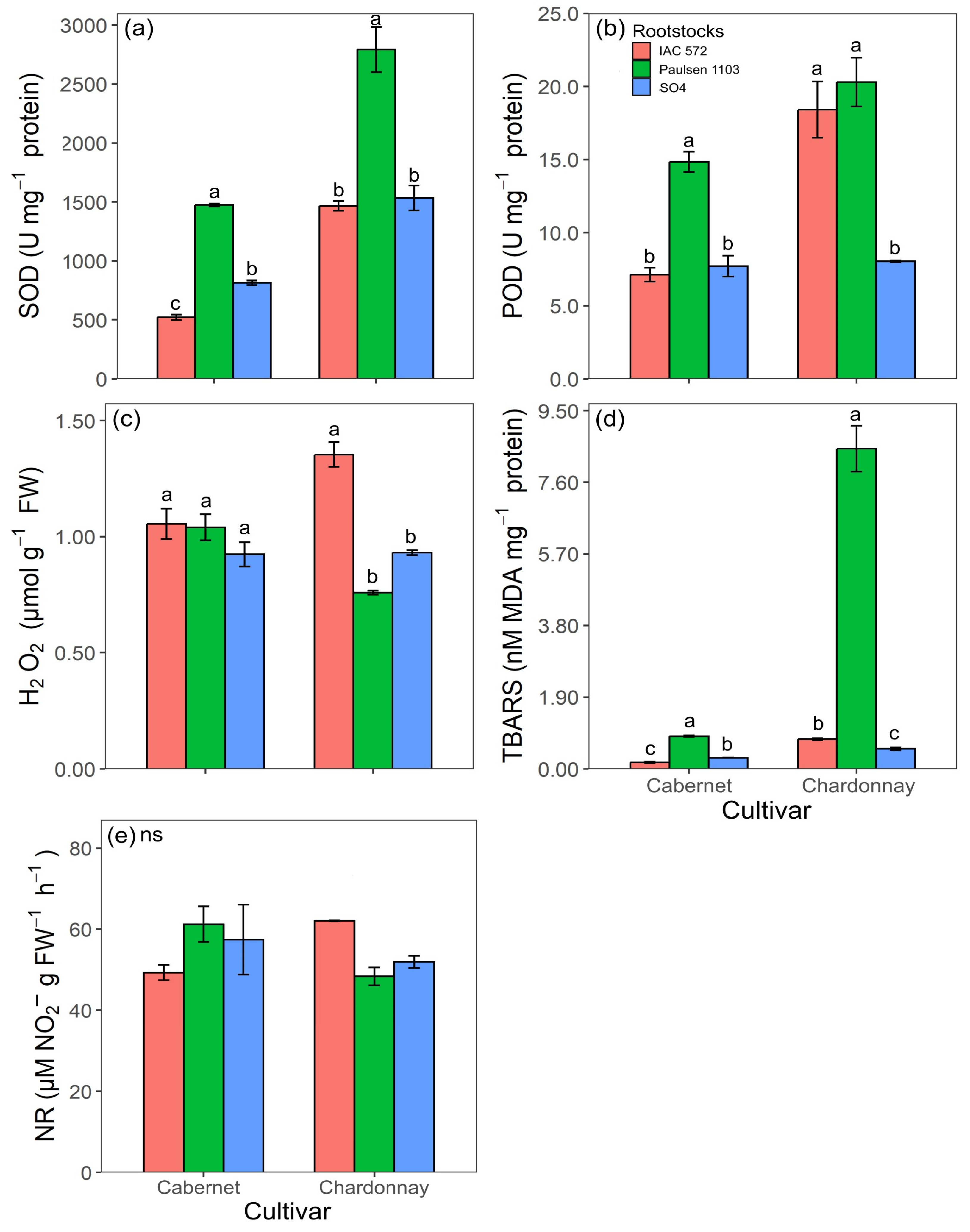 Horticulturae 11 01480 g006