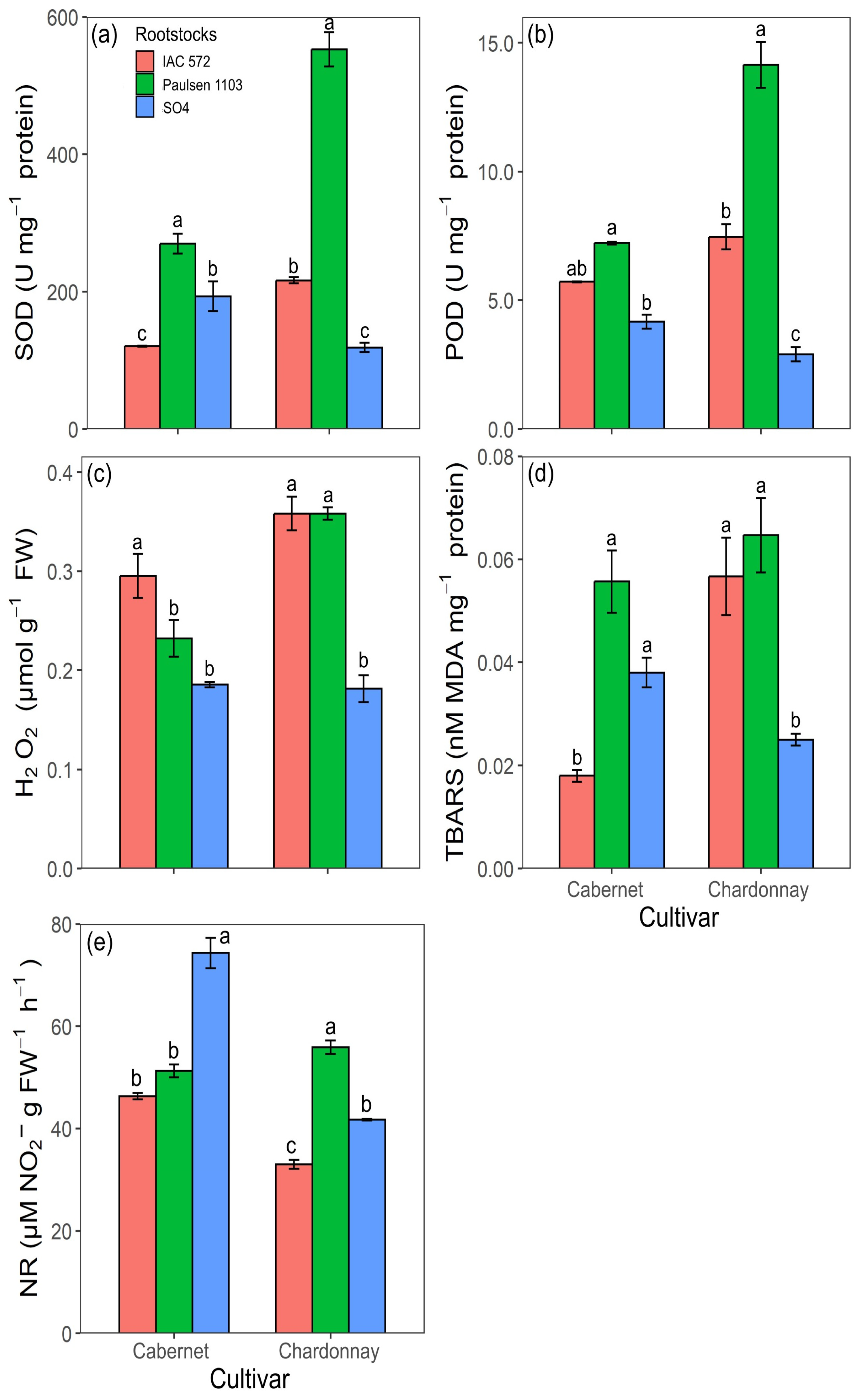 Horticulturae 11 01480 g007