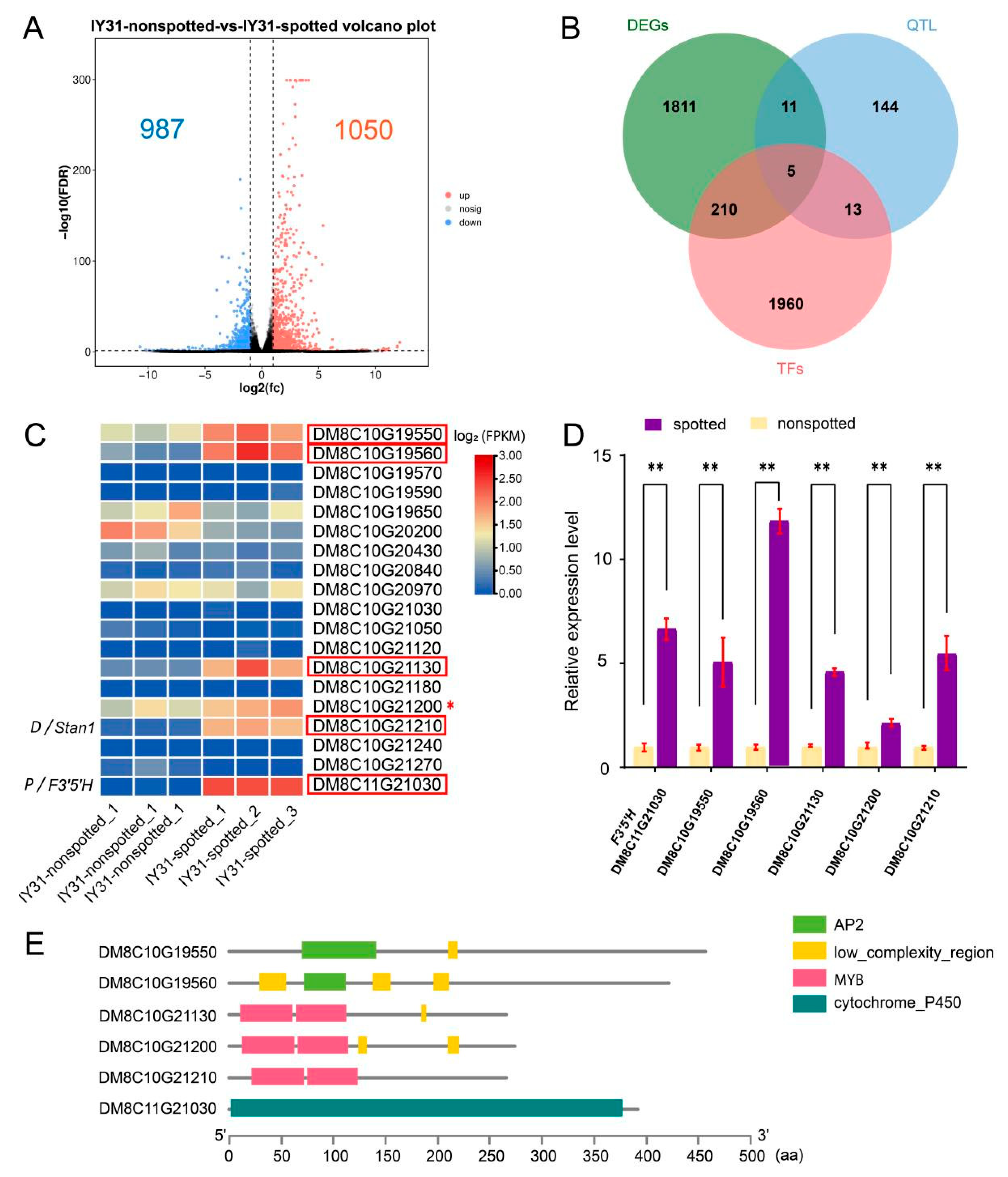 Horticulturae 11 01483 g005 Horticulturae 11 01483 g005