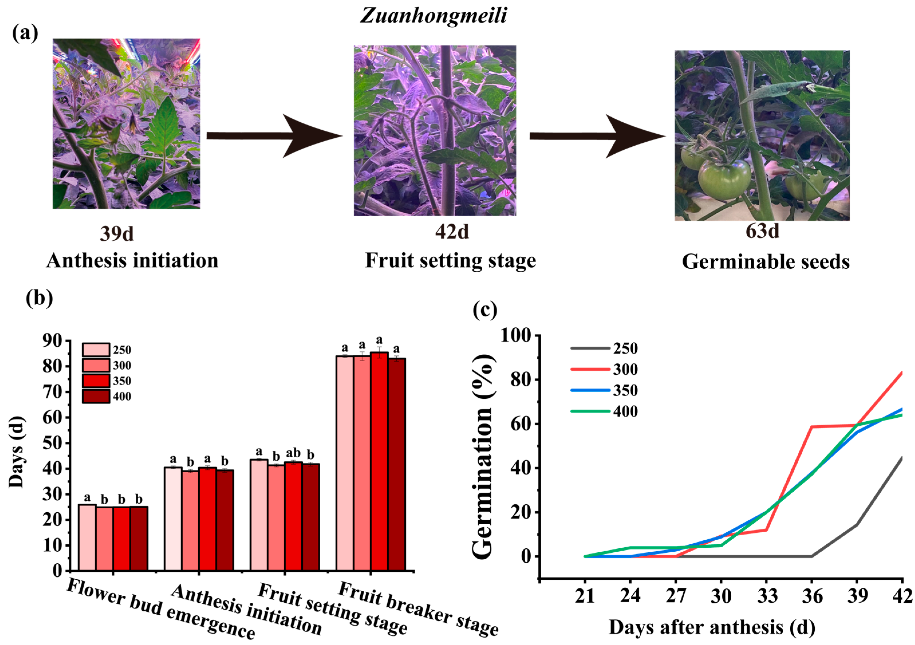 Horticulturae 11 01488 g001 Horticulturae 11 01488 g001