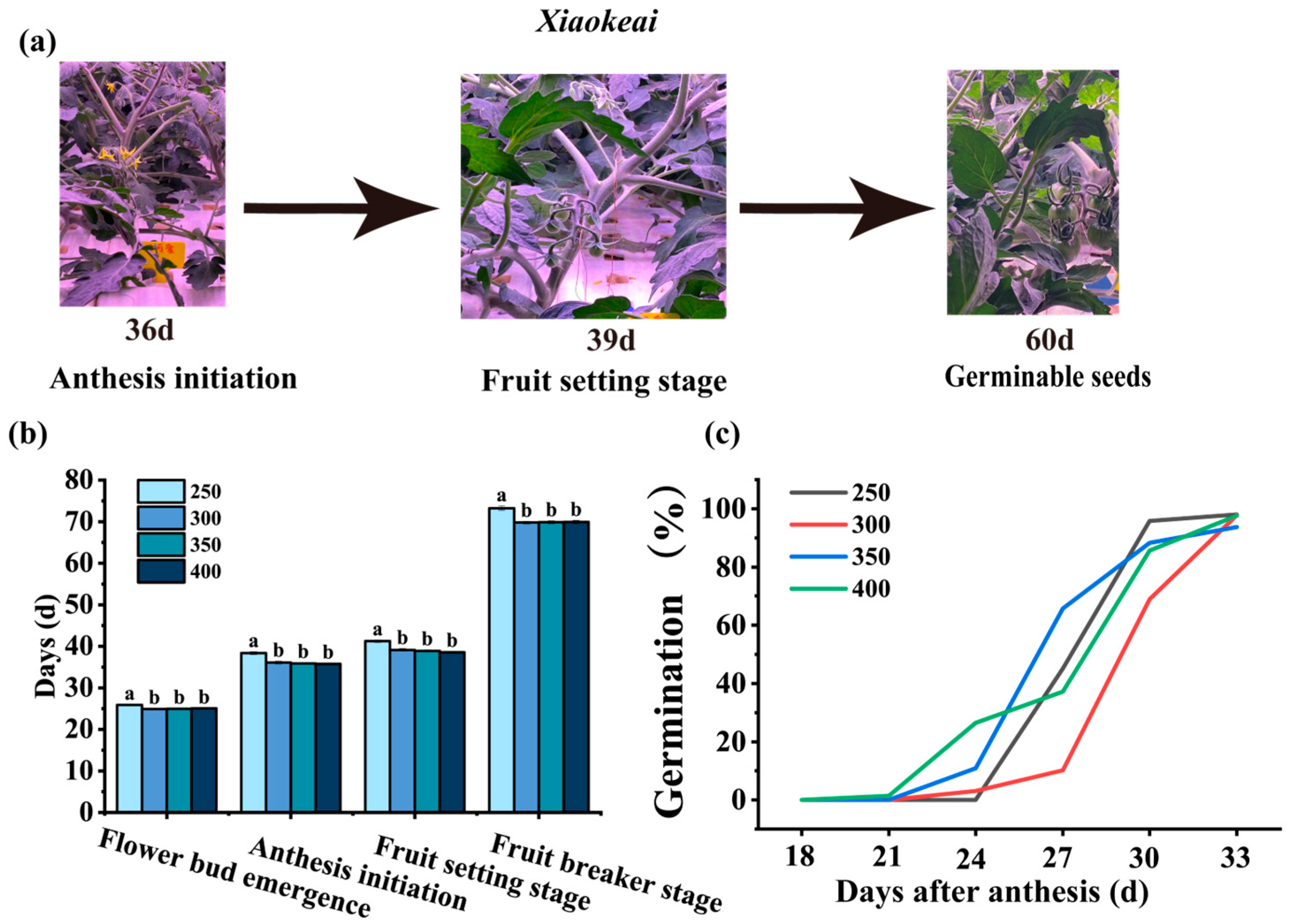Horticulturae 11 01488 g002 Horticulturae 11 01488 g002