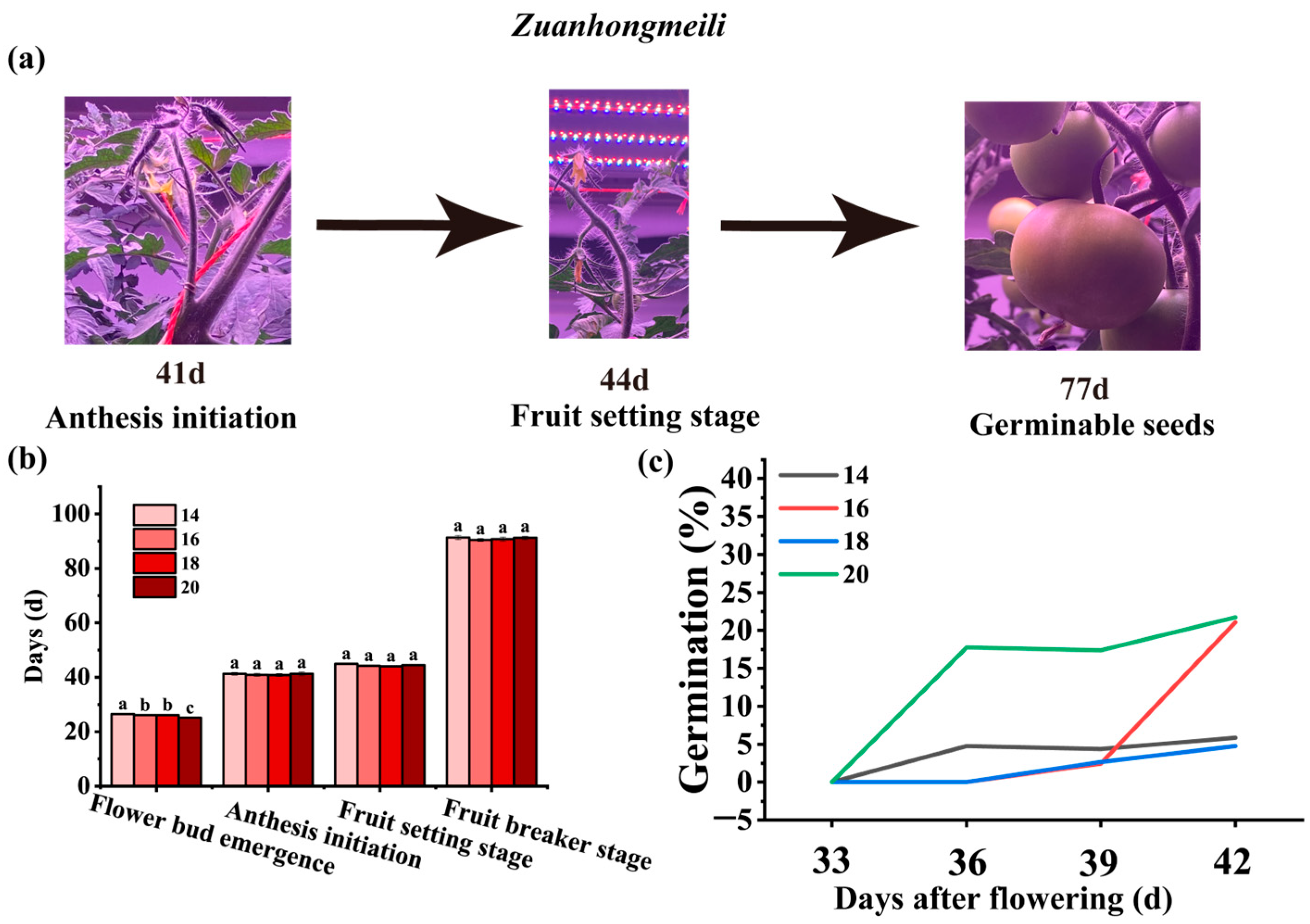 Horticulturae 11 01488 g003 Horticulturae 11 01488 g003