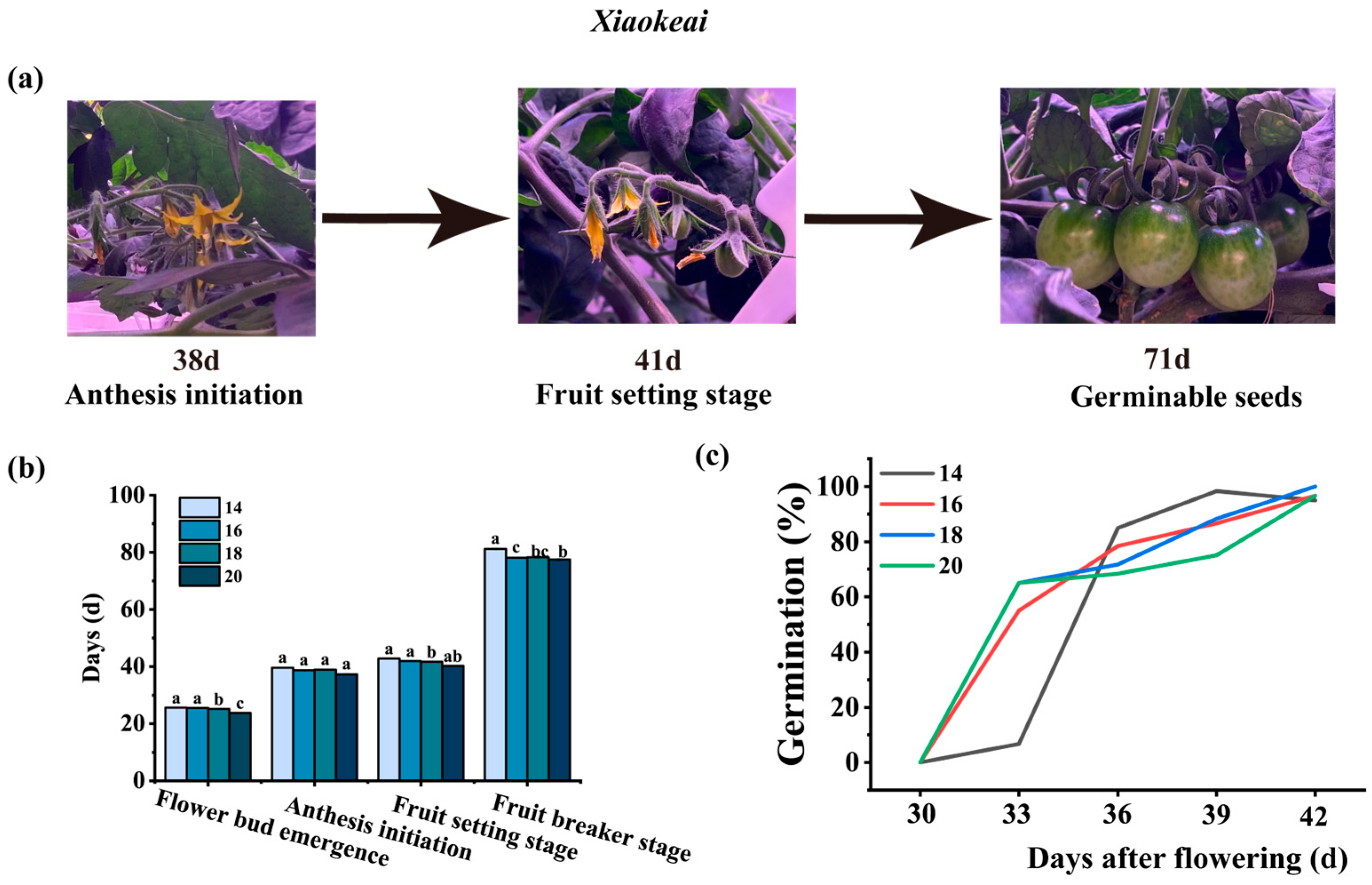 Horticulturae 11 01488 g004 Horticulturae 11 01488 g004