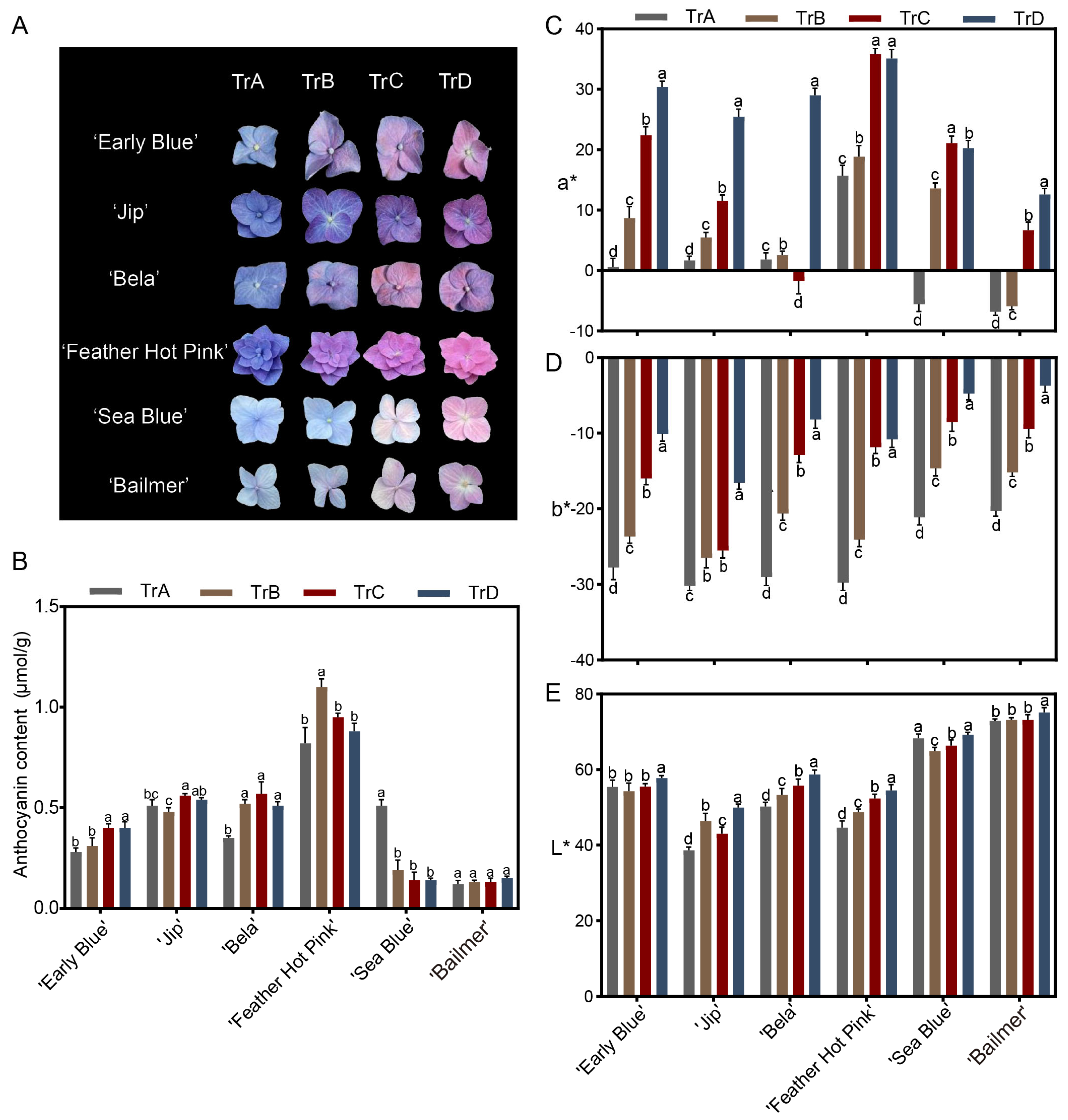 Horticulturae 11 01490 g004 Horticulturae 11 01490 g004
