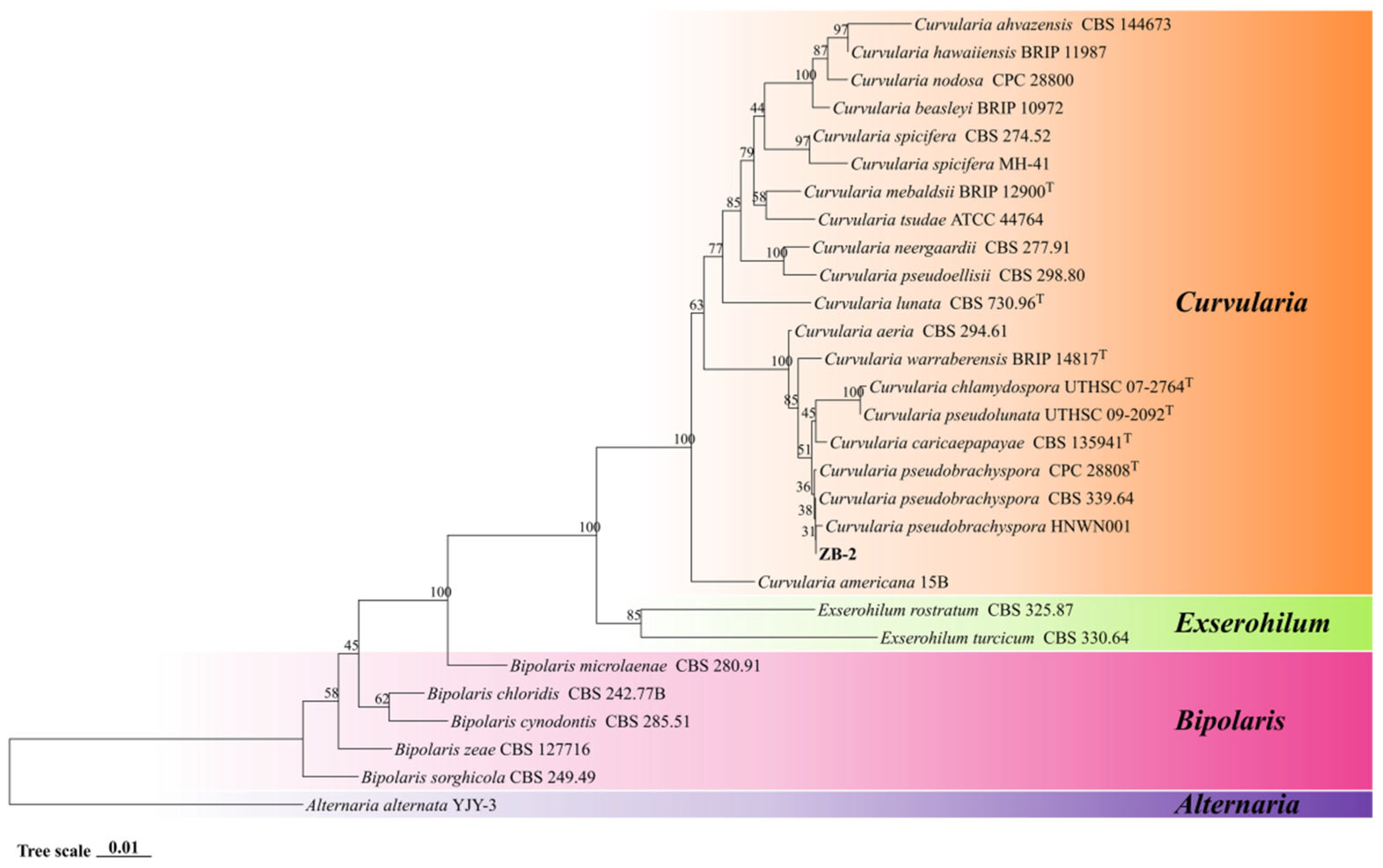 Horticulturae 11 01492 g004 Horticulturae 11 01492 g004