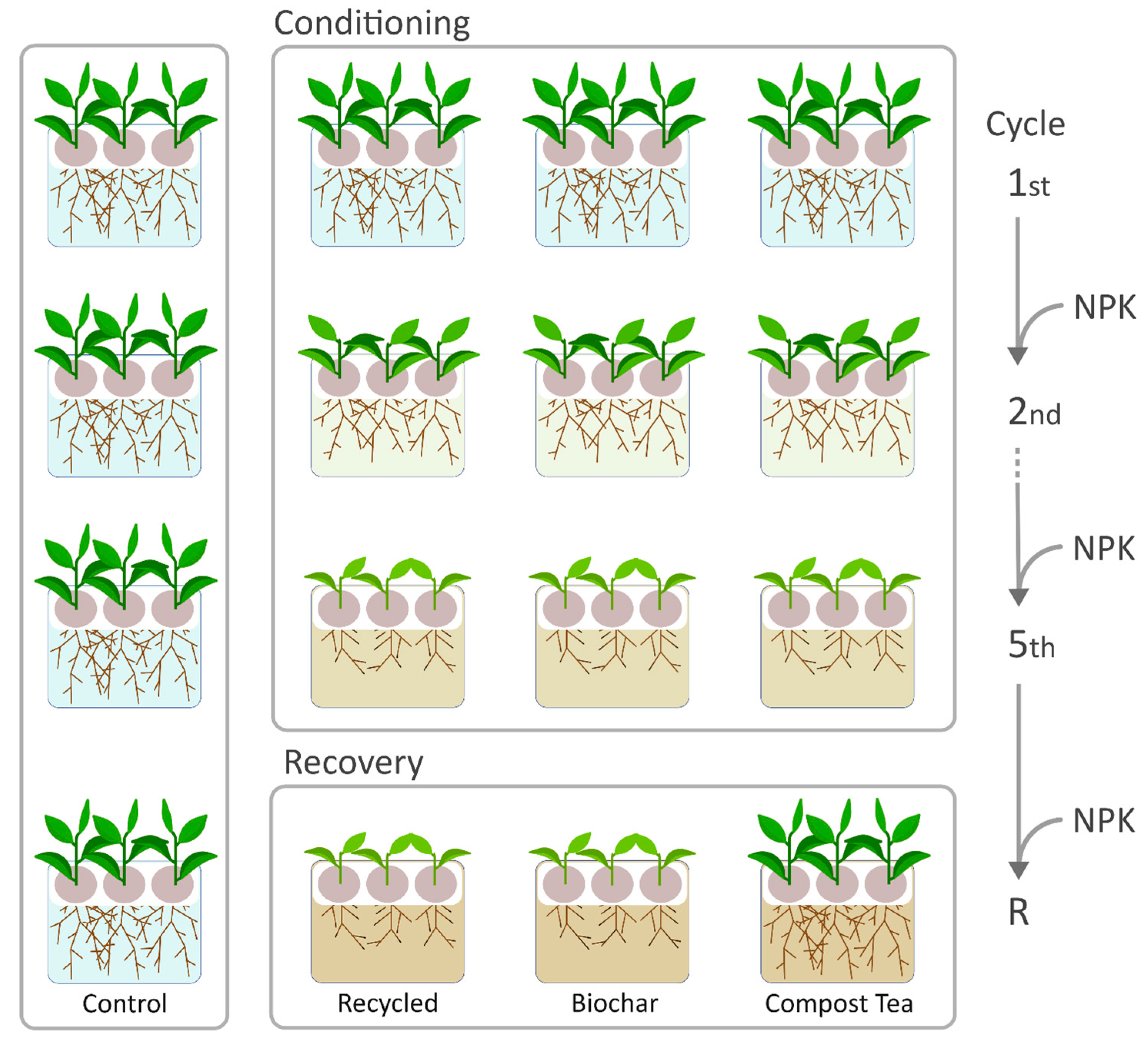 Horticulturae 11 01493 g001 Horticulturae 11 01493 g001