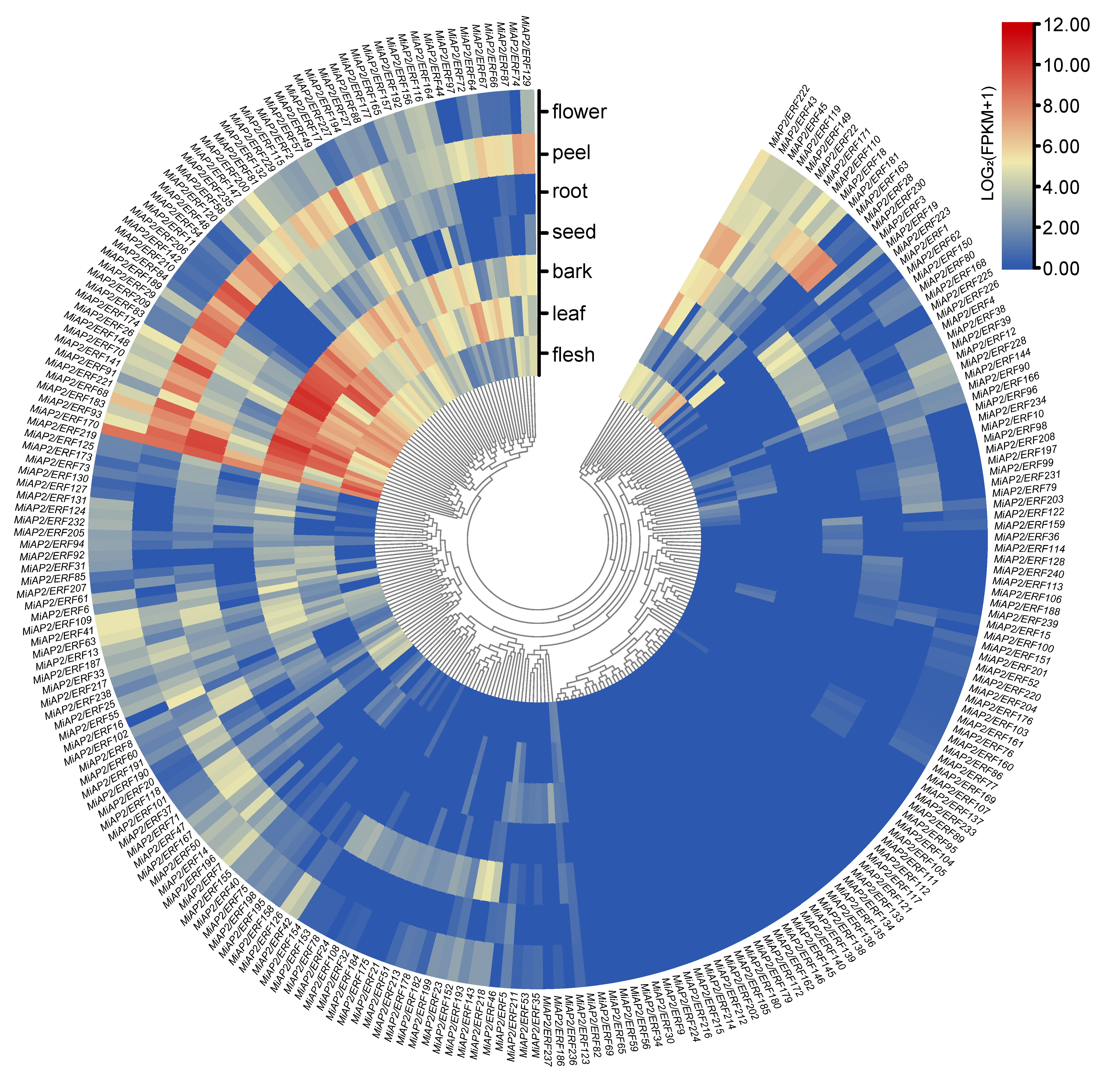 Horticulturae 11 01500 g004 Horticulturae 11 01500 g004