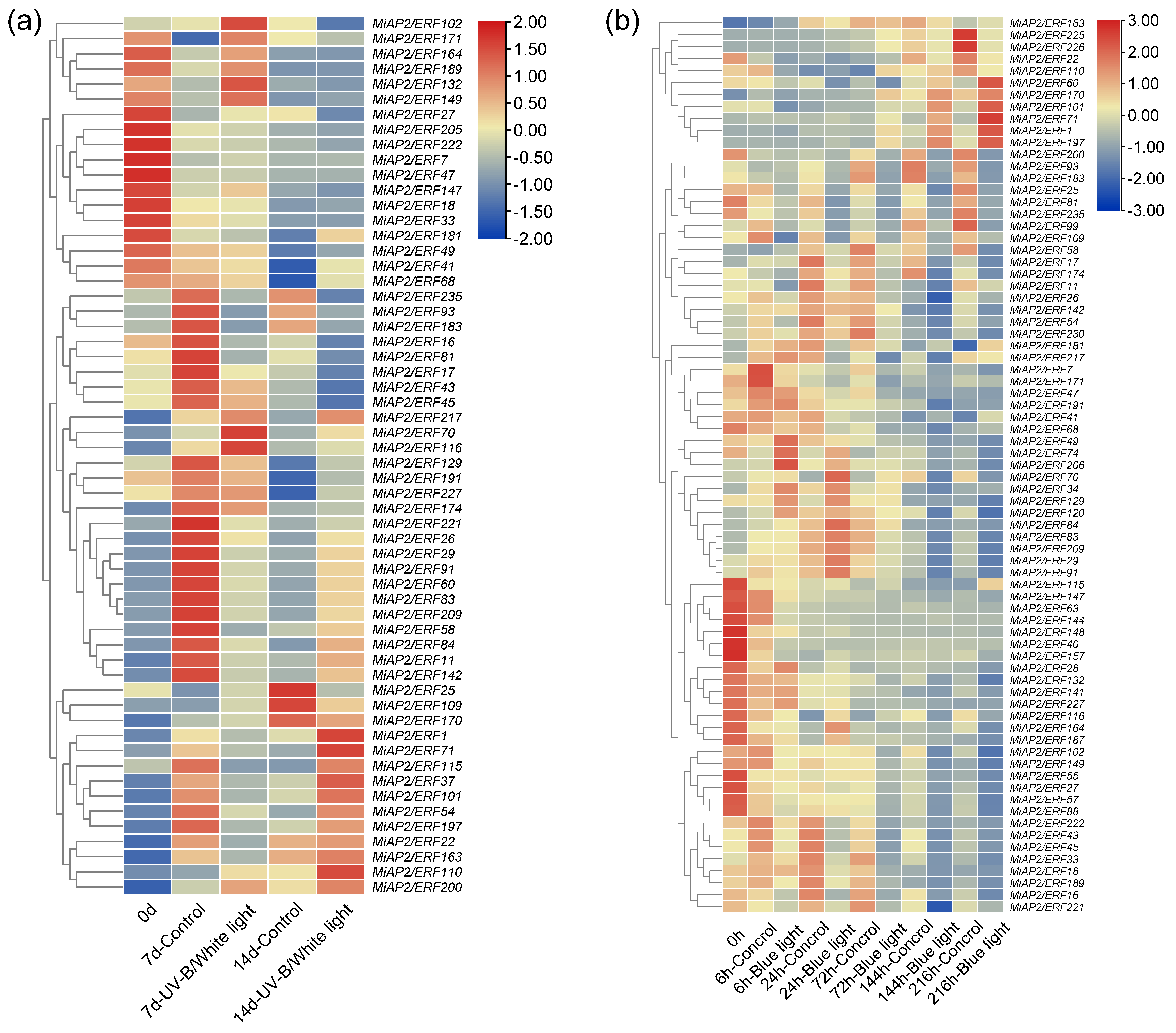 Horticulturae 11 01500 g006 Horticulturae 11 01500 g006