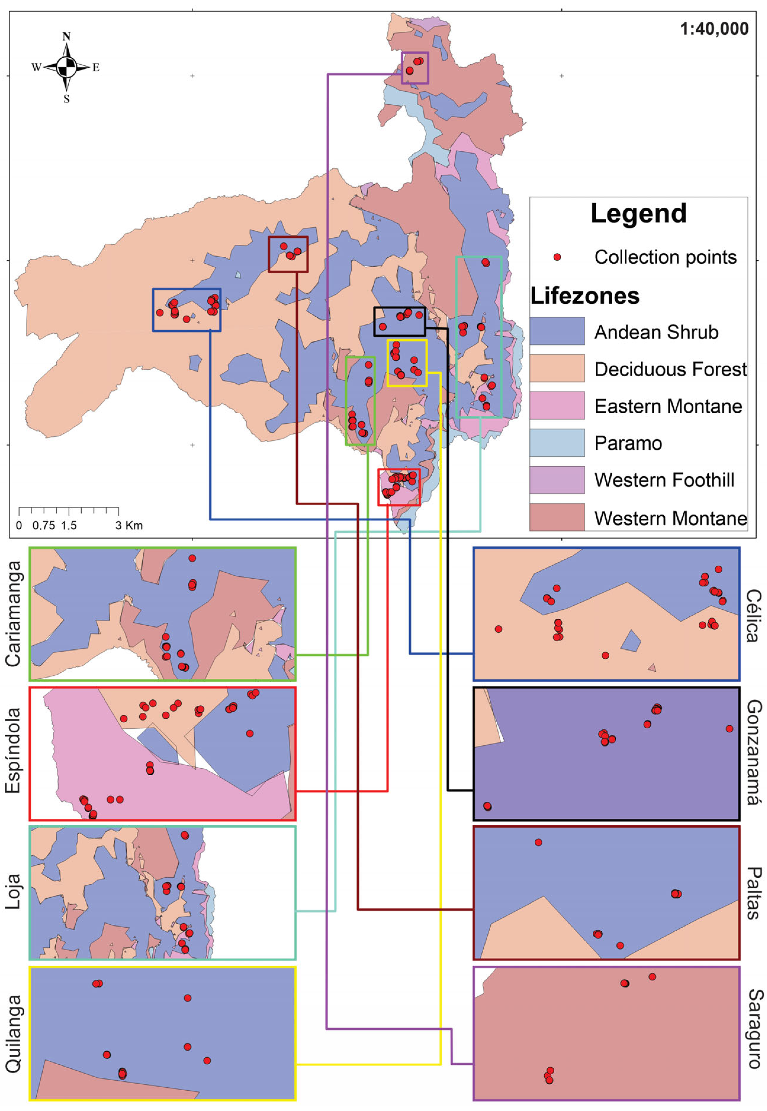 Horticulturae 11 01505 g001 Horticulturae 11 01505 g001