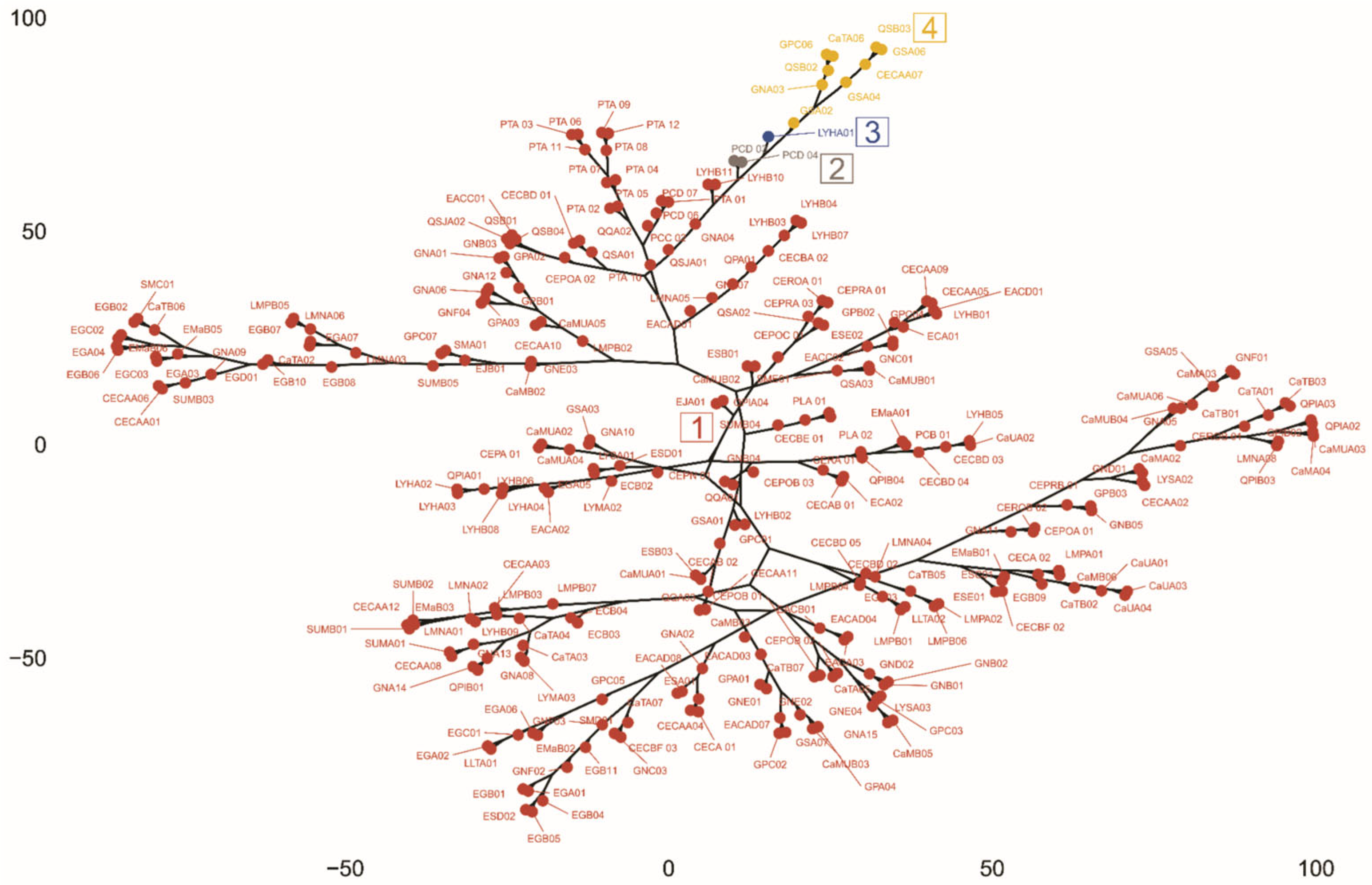 Horticulturae 11 01505 g005 Horticulturae 11 01505 g005